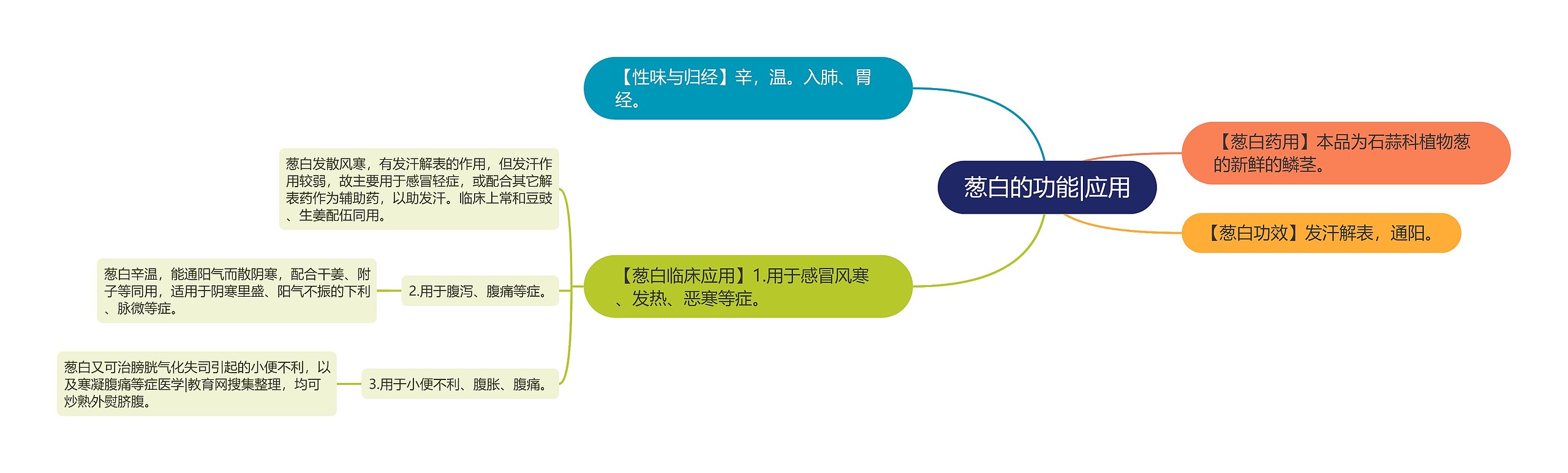 葱白的功能|应用思维导图