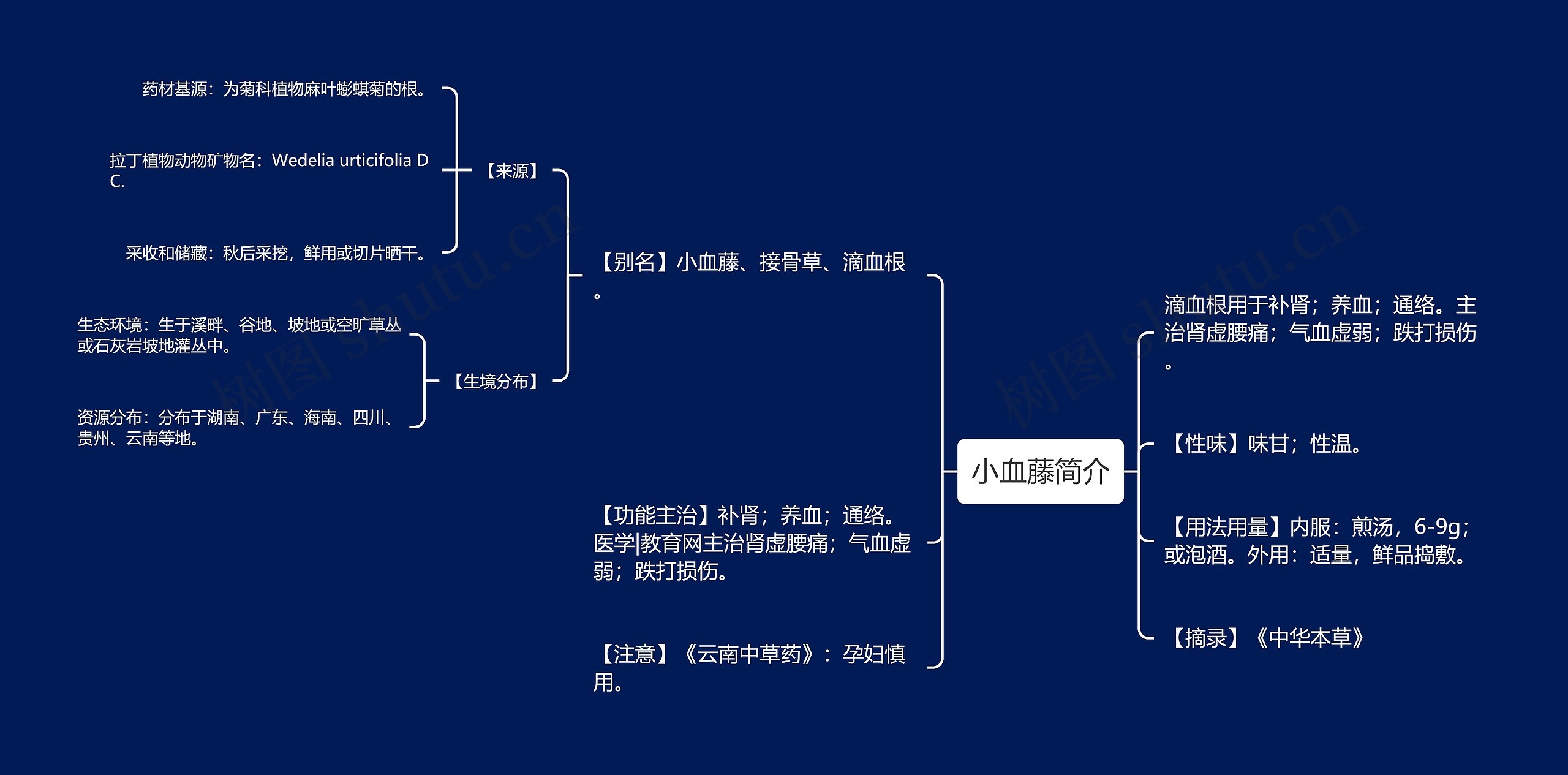 小血藤简介