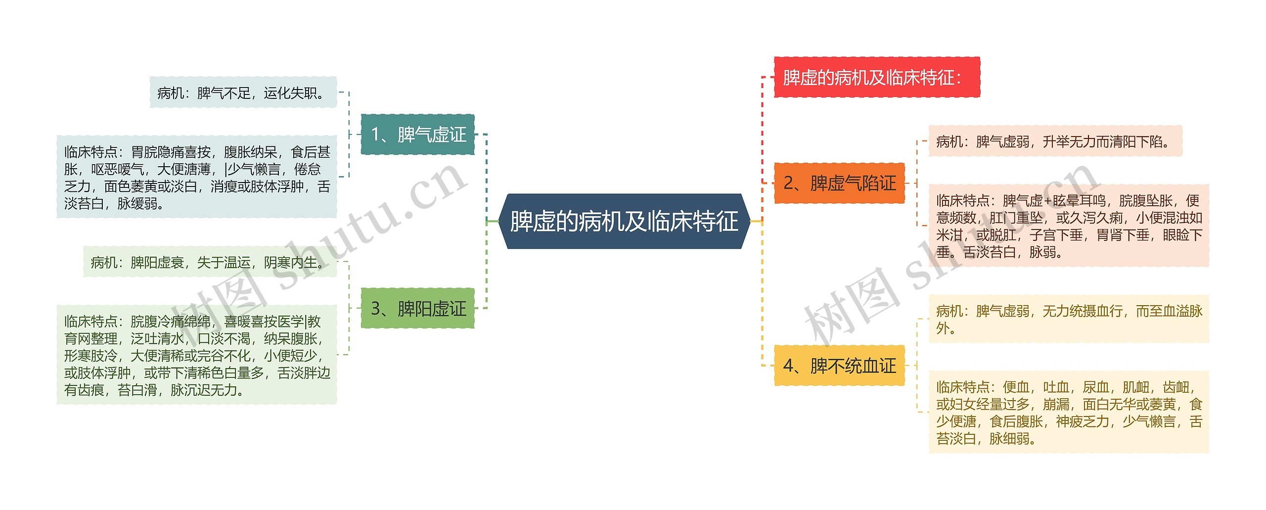 脾虚的病机及临床特征