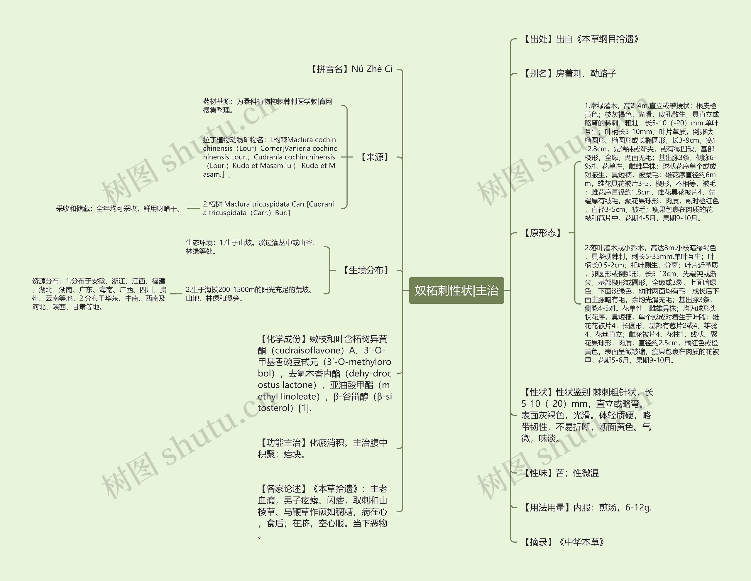 奴柘刺性状|主治思维导图
