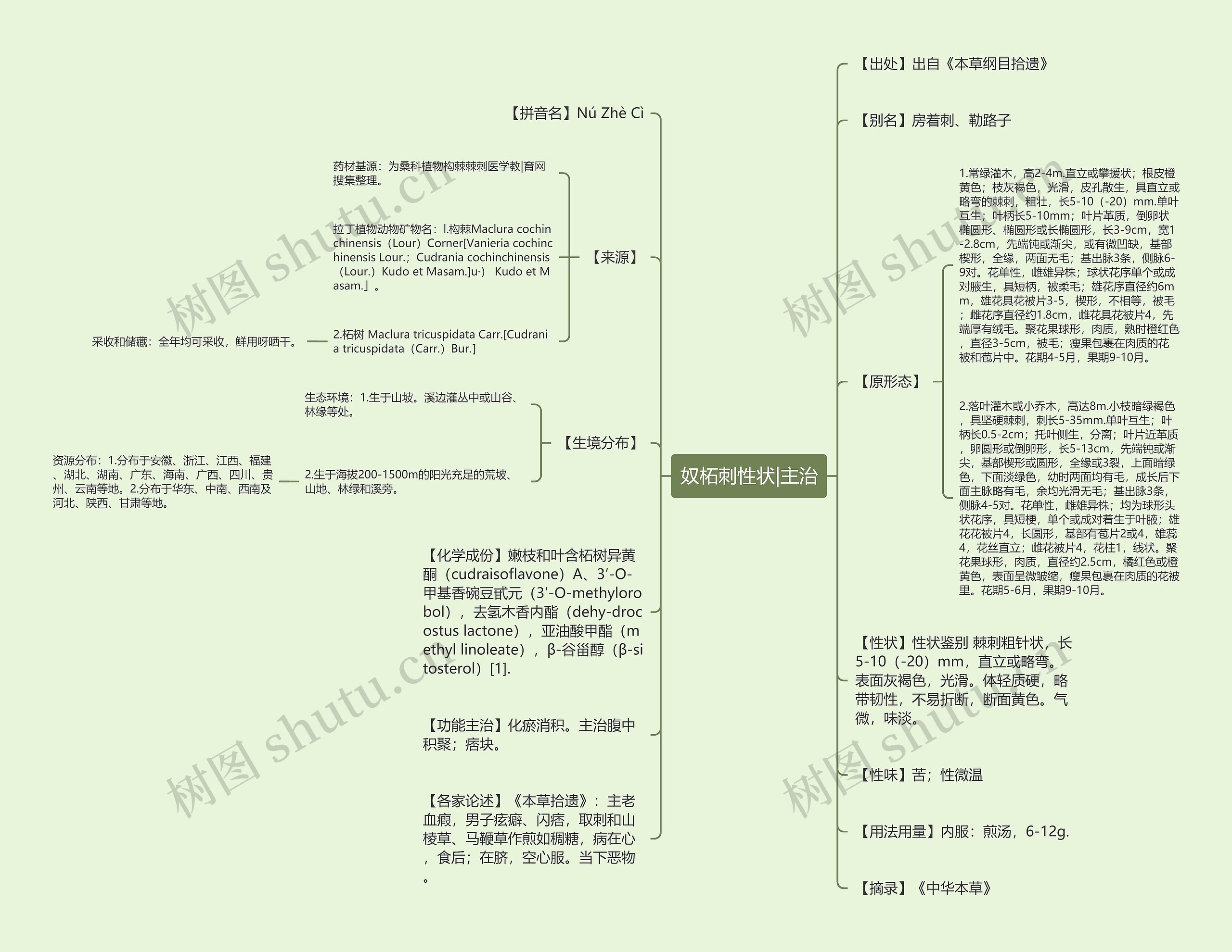 奴柘刺性状|主治 奴柘刺性状|主治