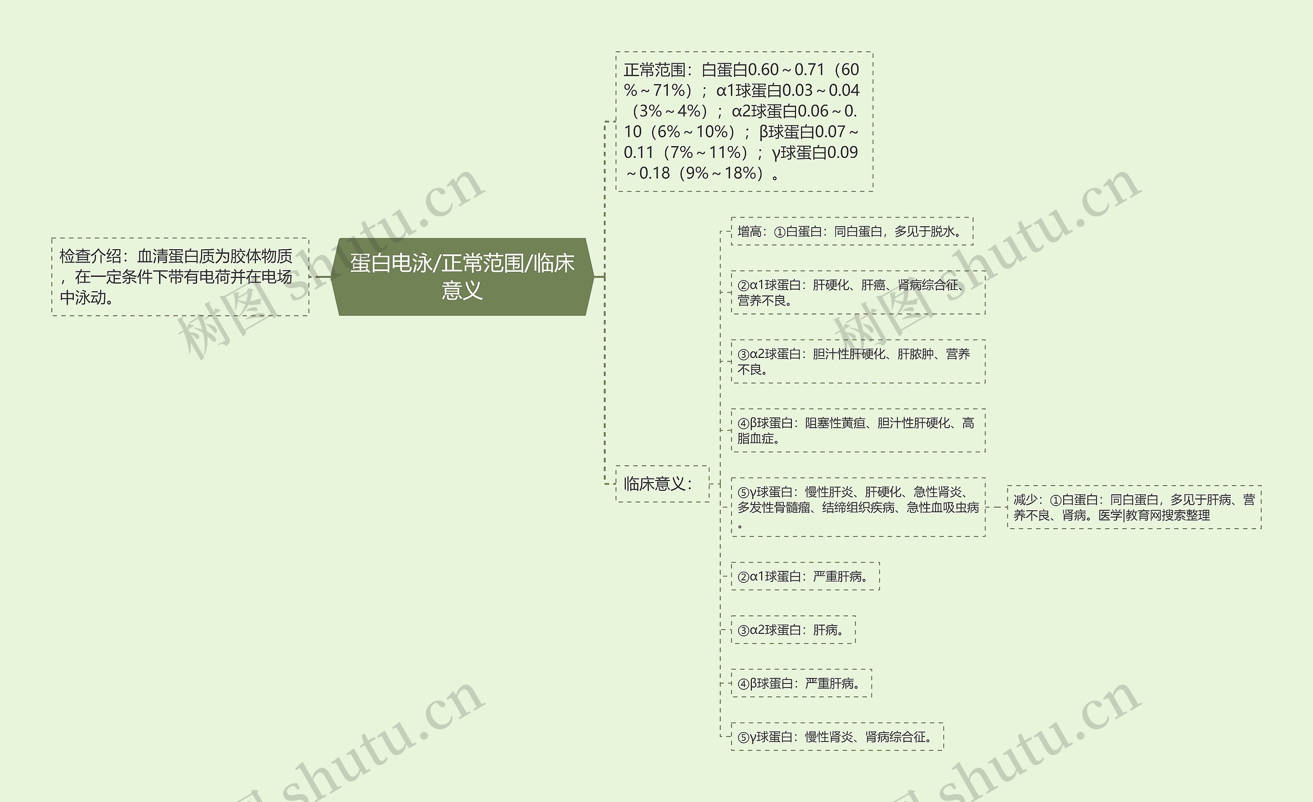 蛋白电泳/正常范围/临床意义思维导图