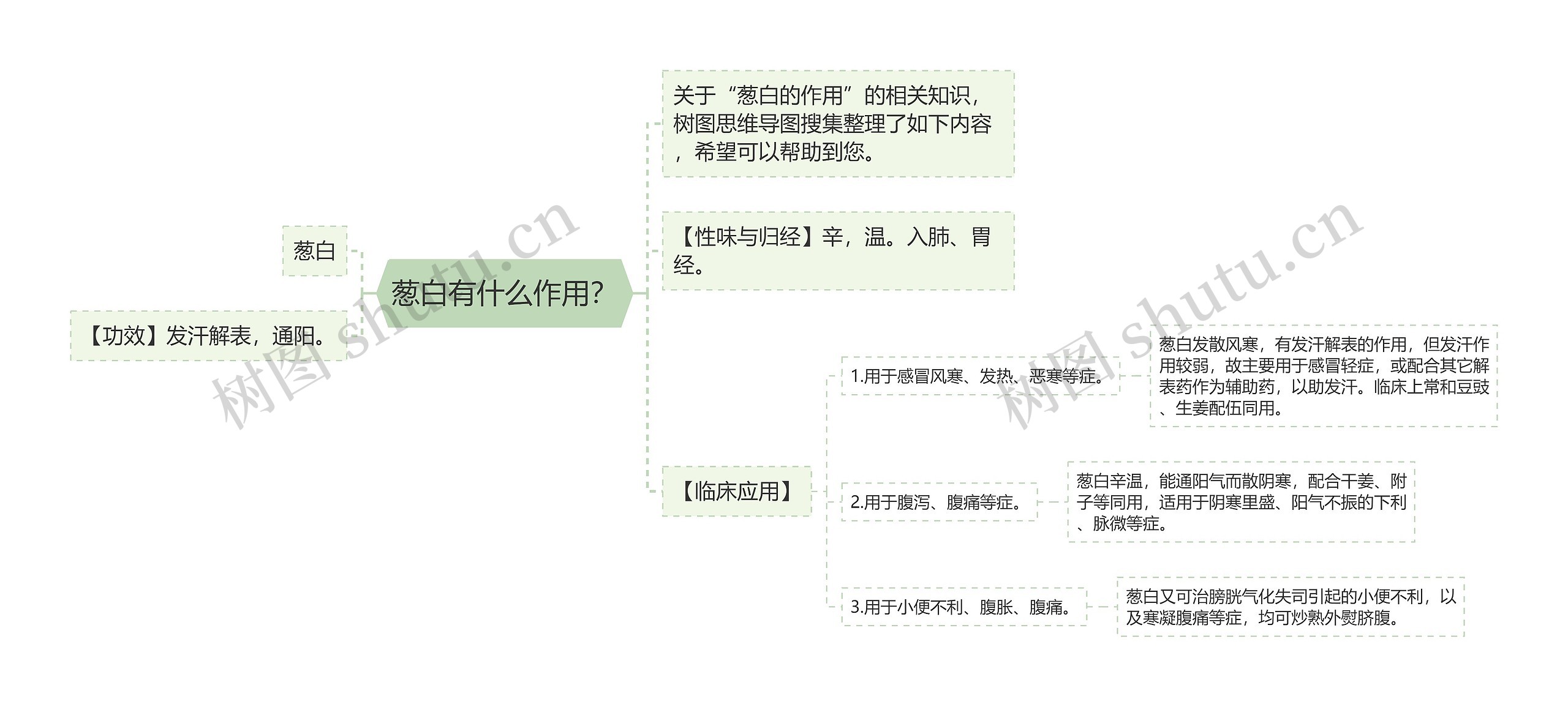 葱白有什么作用？思维导图