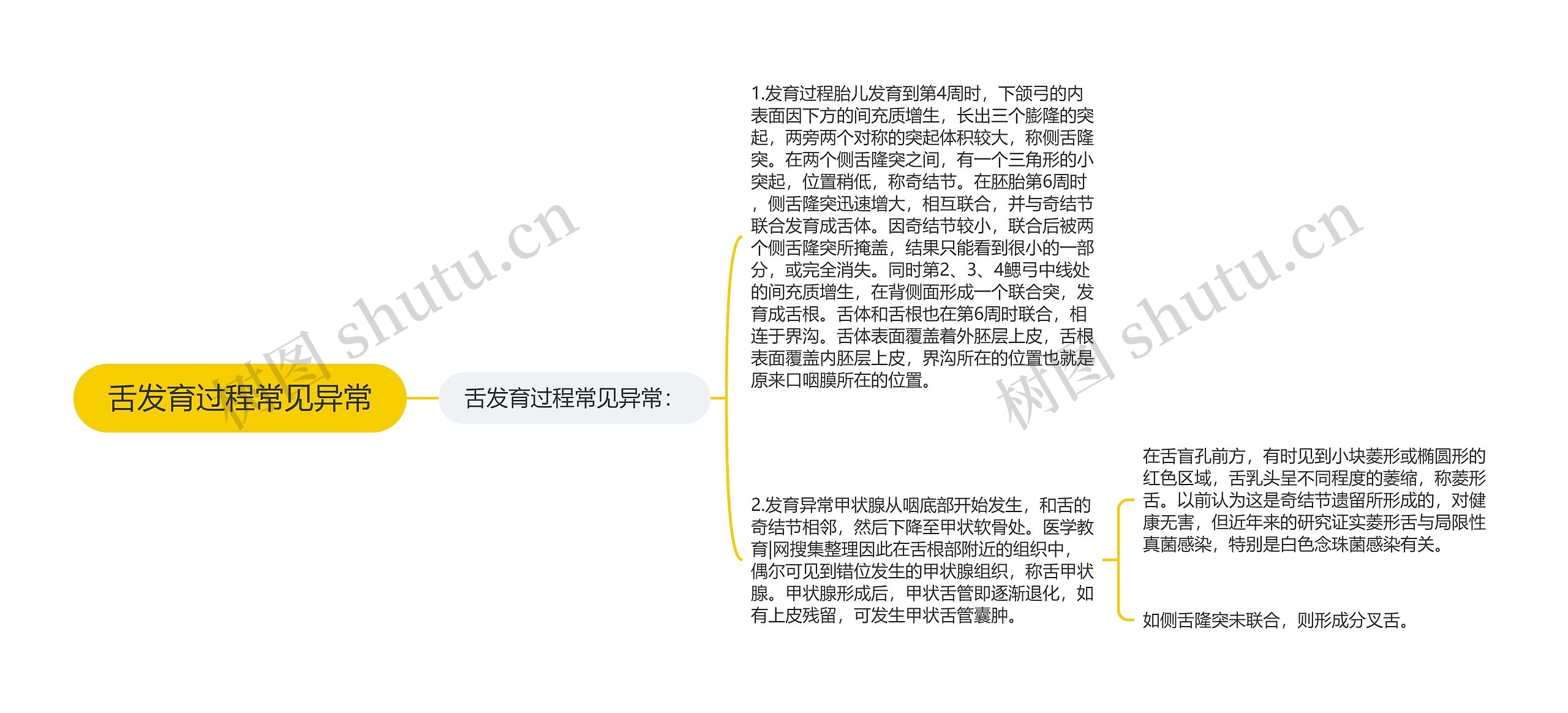 舌发育过程常见异常思维导图