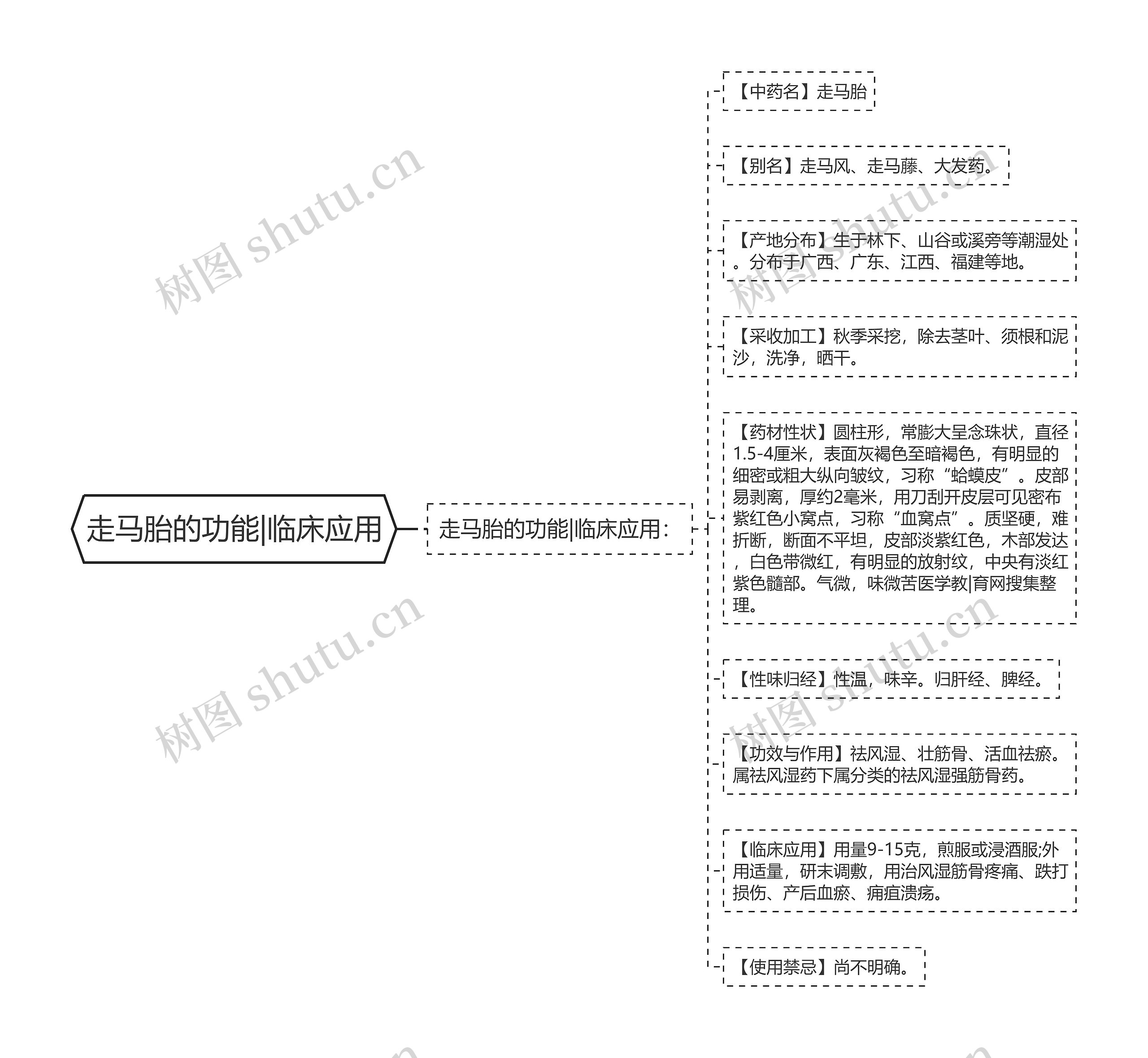 走马胎的功能|临床应用思维导图