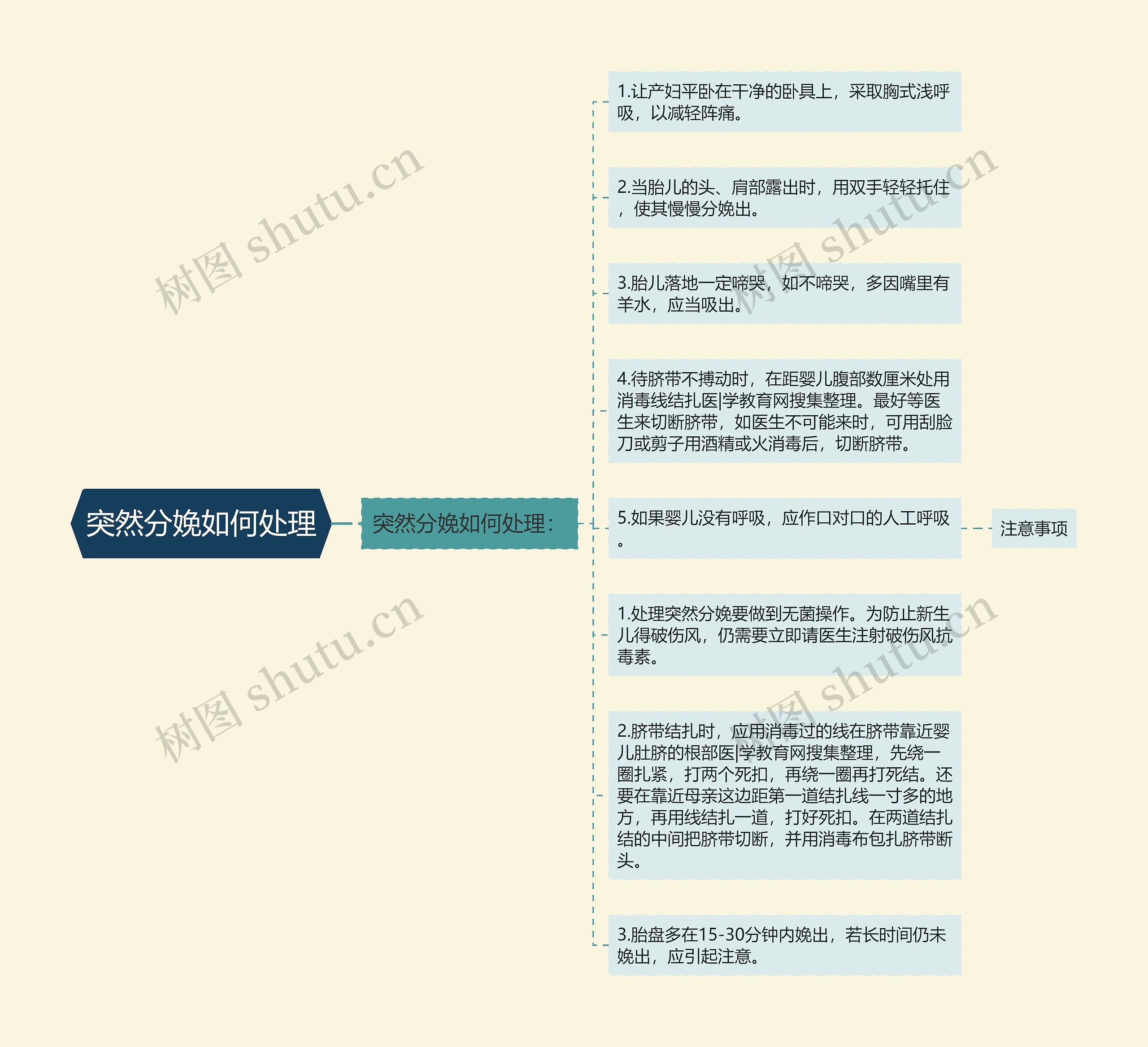 突然分娩如何处理思维导图