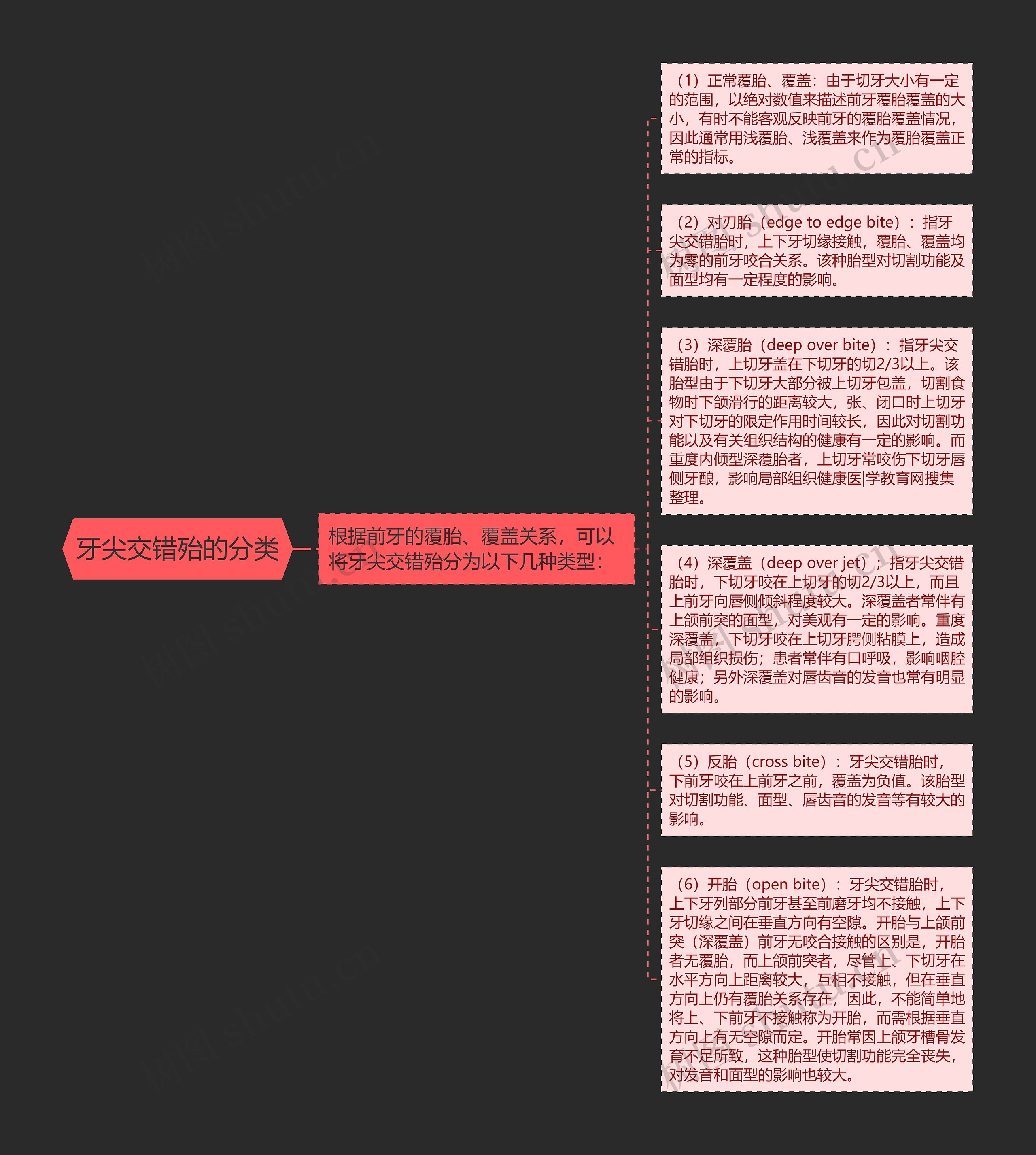 牙尖交错殆的分类思维导图