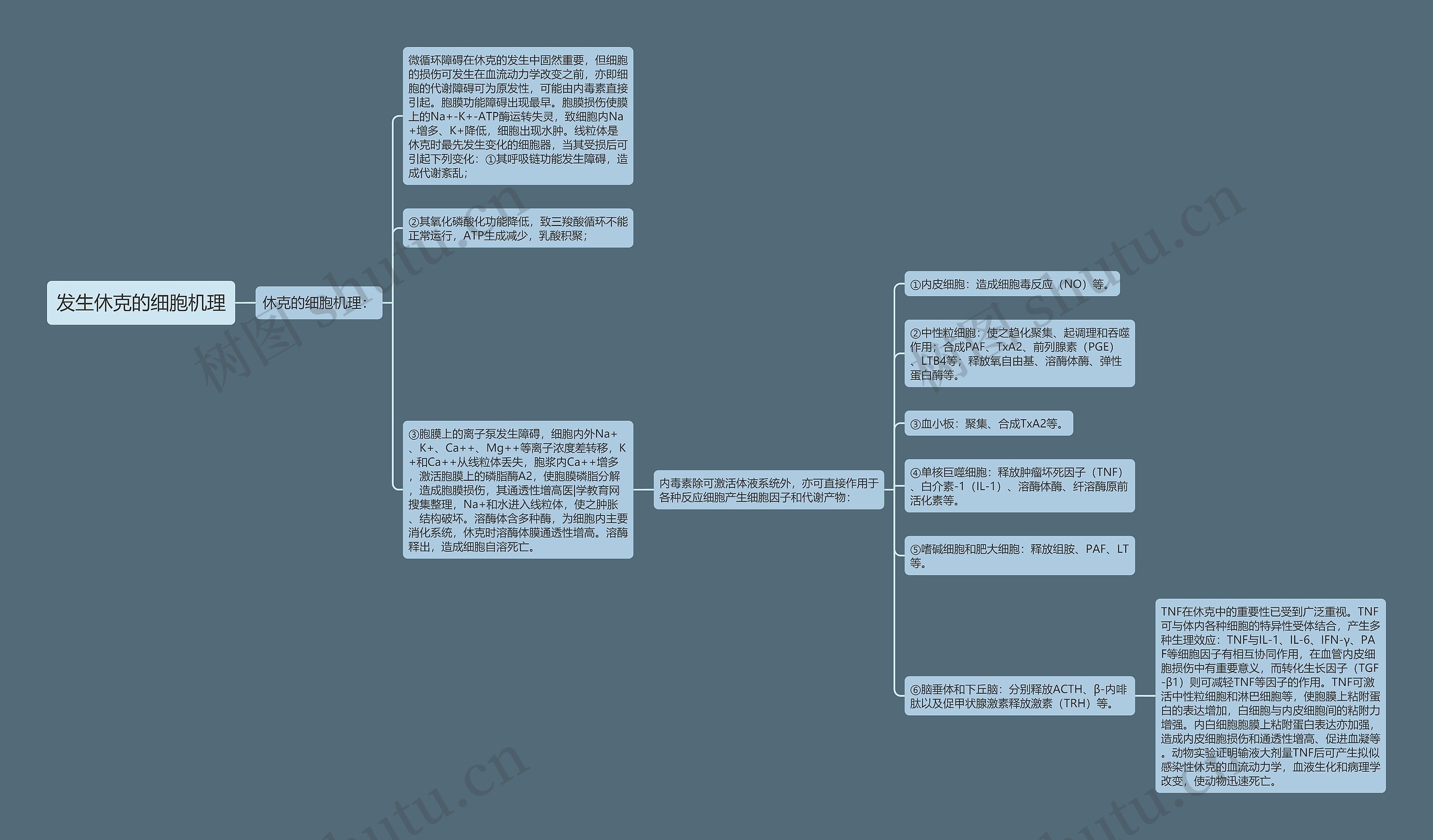 发生休克的细胞机理思维导图