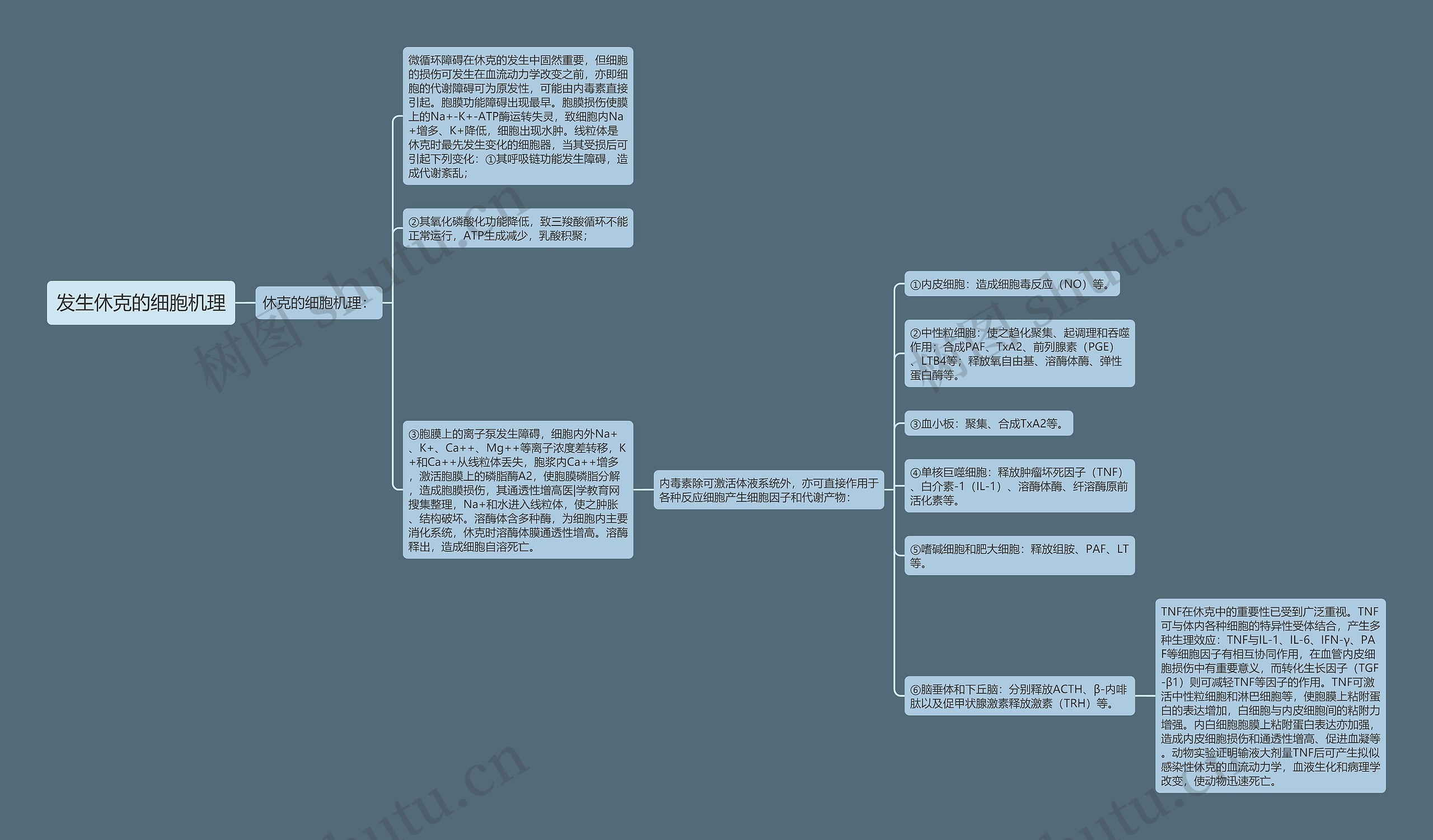 发生休克的细胞机理 发生休克的细胞机理