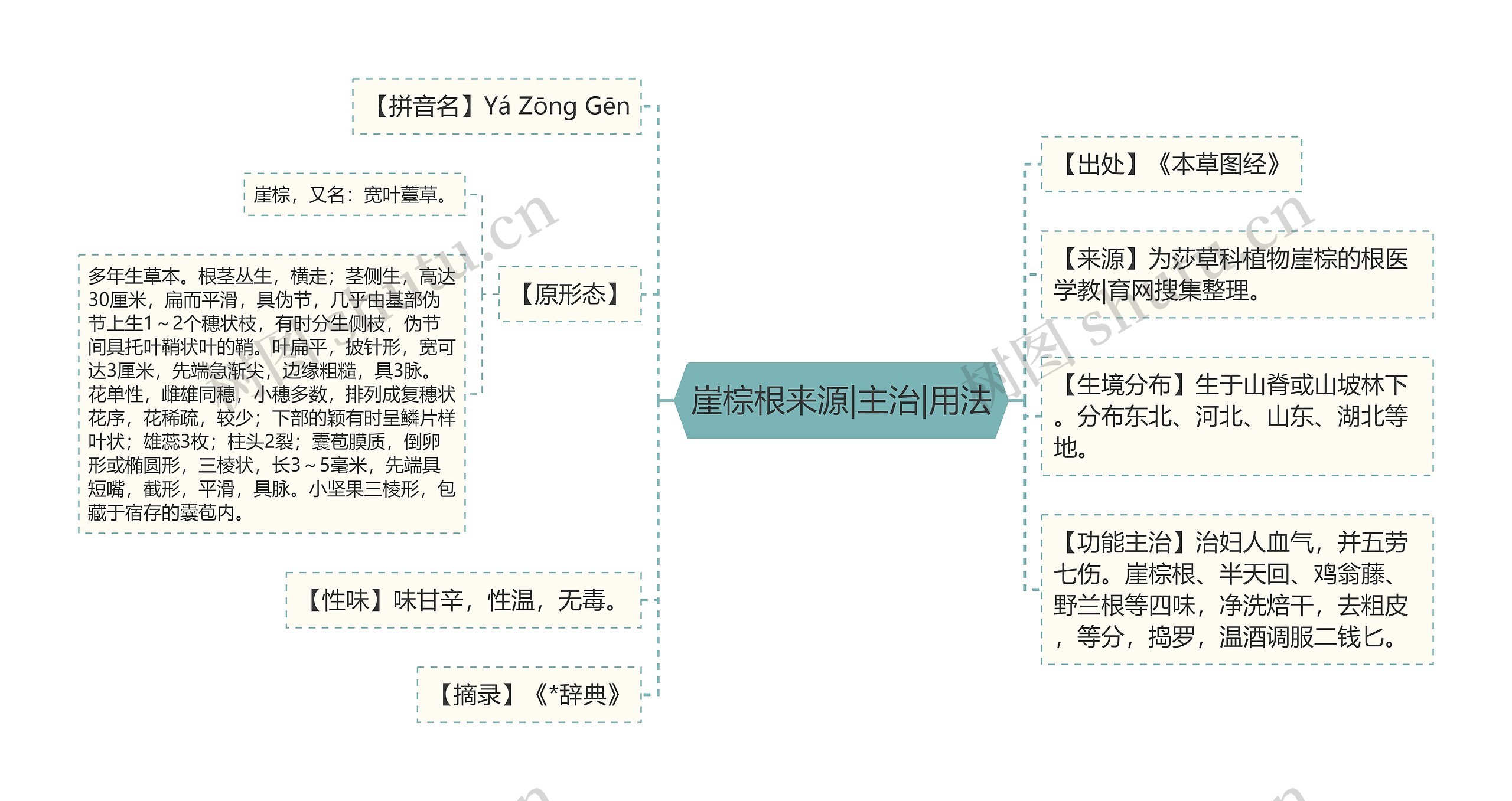 崖棕根来源|主治|用法思维导图