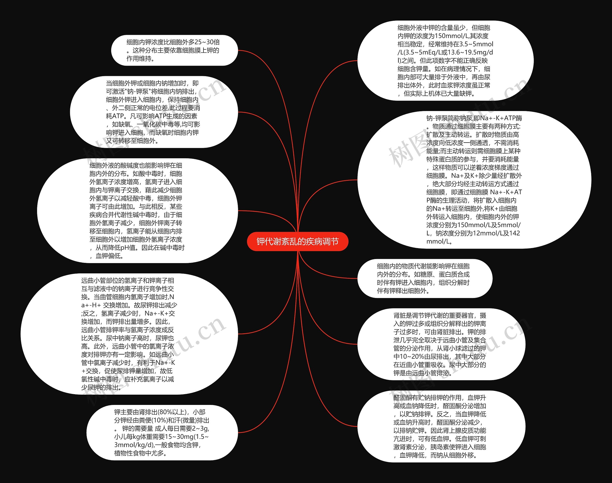 钾代谢紊乱的疾病调节