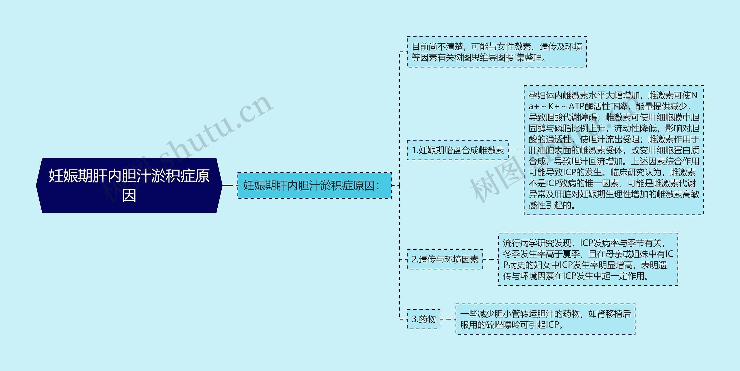 妊娠期肝内胆汁淤积症原因思维导图