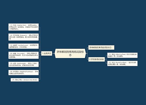 牙体解剖的常用名词及标志