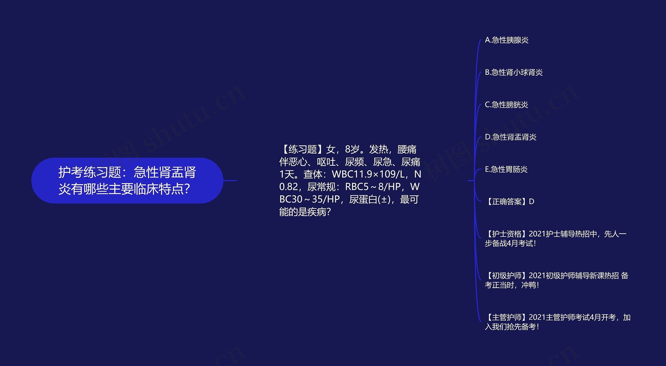 护考练习题：急性肾盂肾炎有哪些主要临床特点？