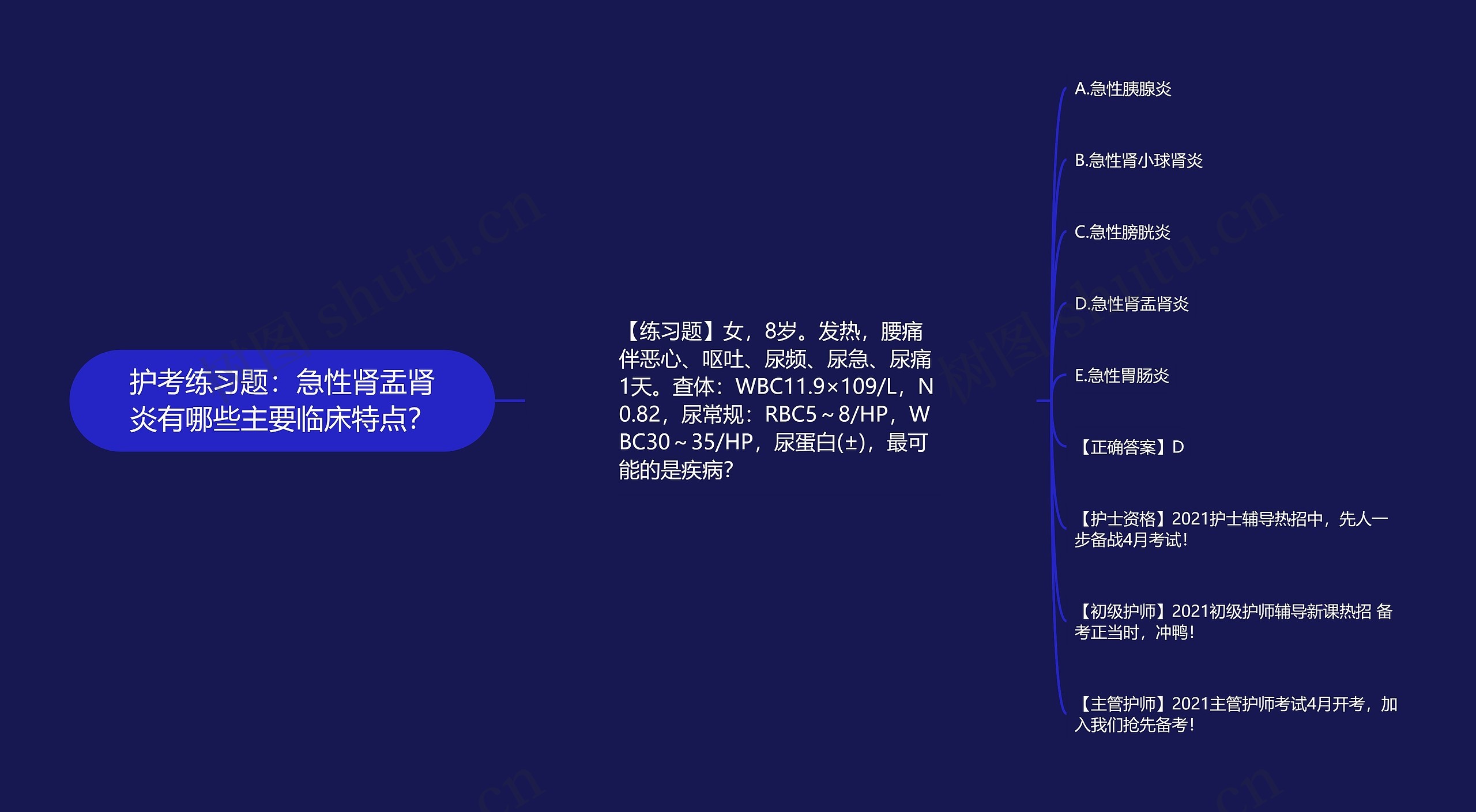 护考练习题：急性肾盂肾炎有哪些主要临床特点？思维导图