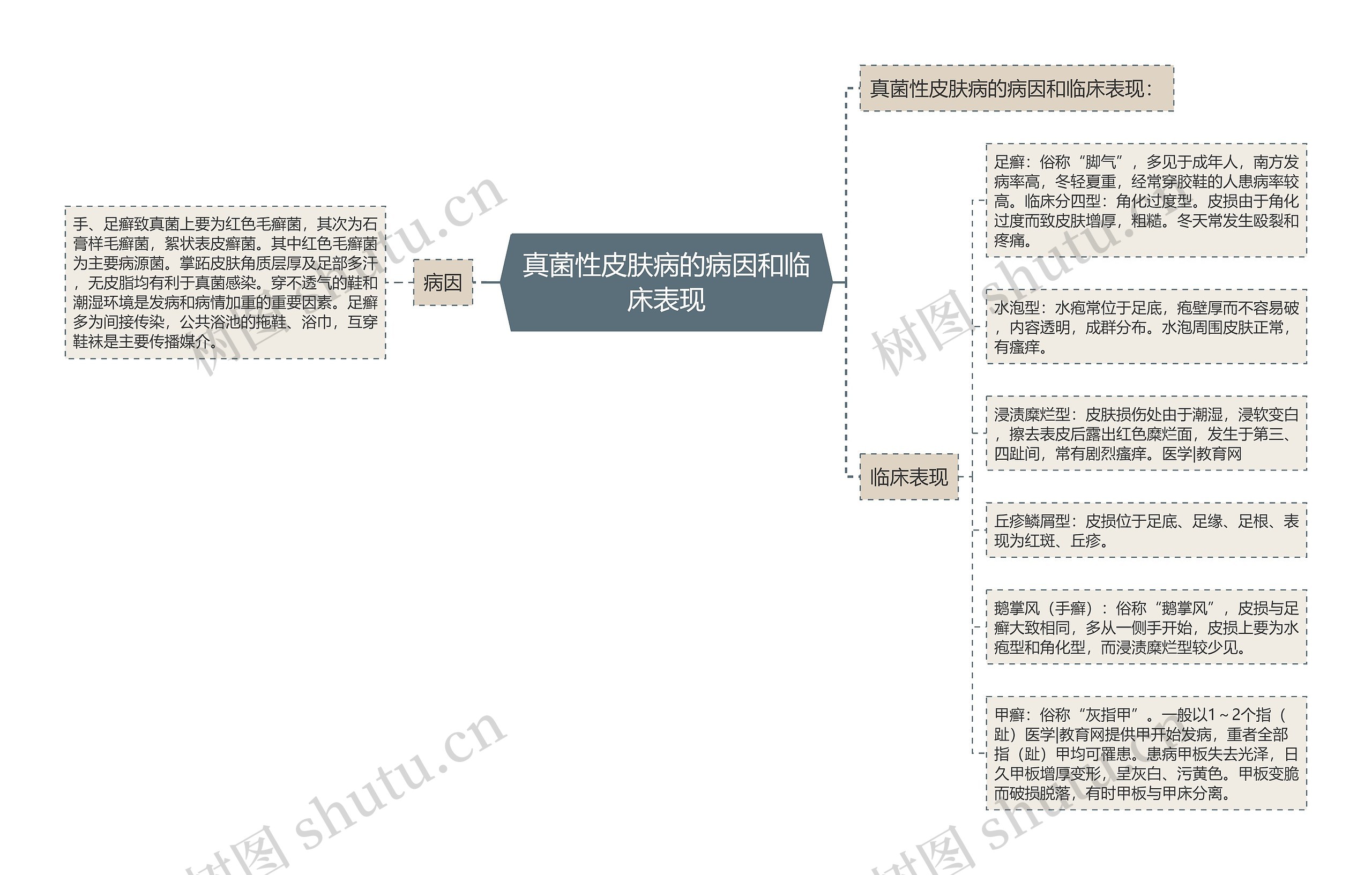 真菌性皮肤病的病因和临床表现思维导图