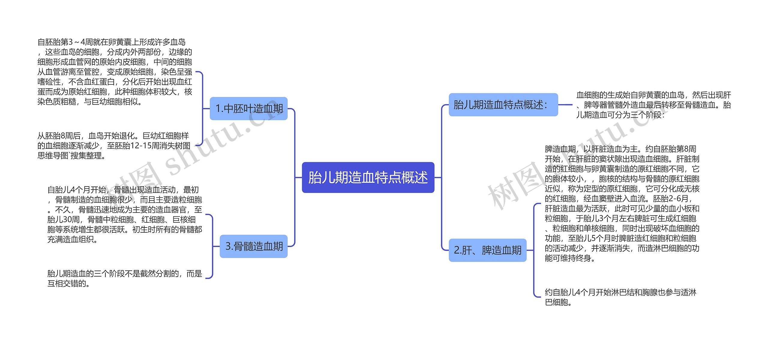 胎儿期造血特点概述思维导图