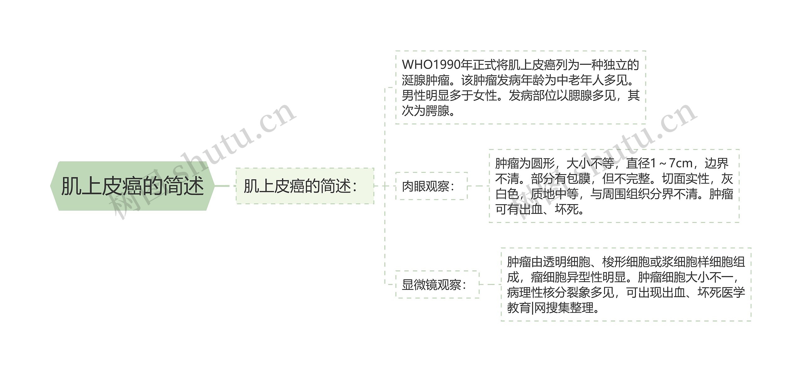 肌上皮癌的简述 肌上皮癌的简述