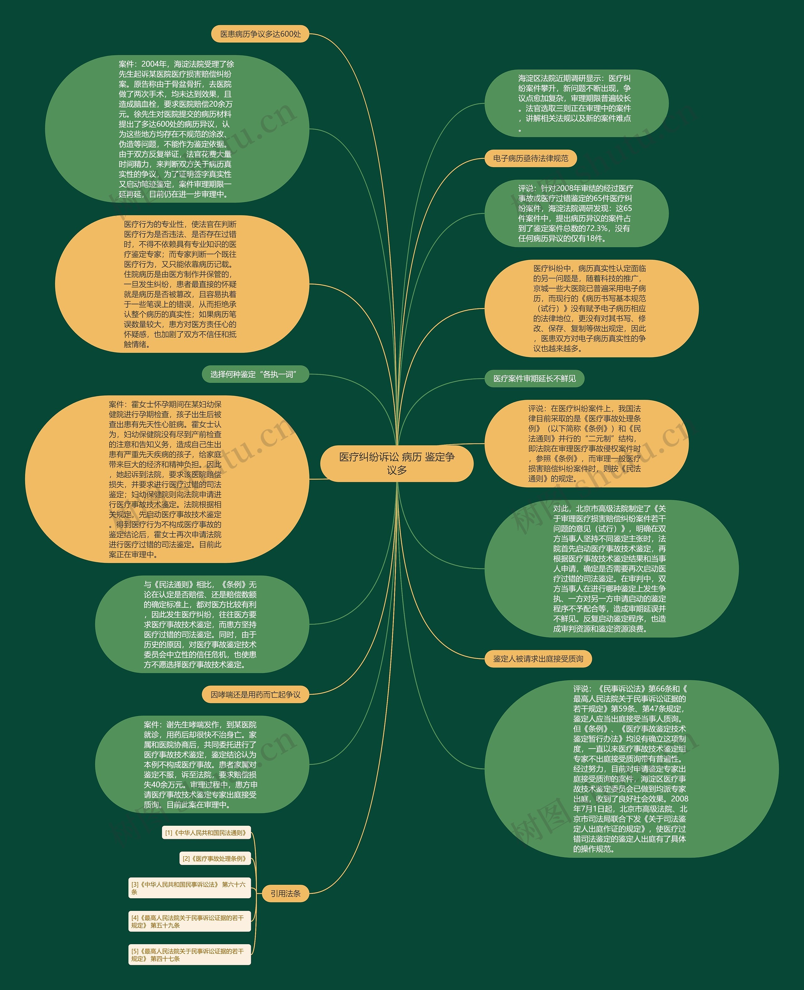 医疗纠纷诉讼 病历 鉴定争议多思维导图