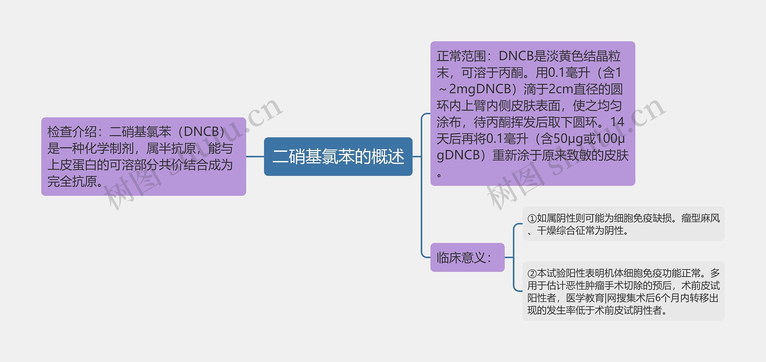 二硝基氯苯的概述思维导图