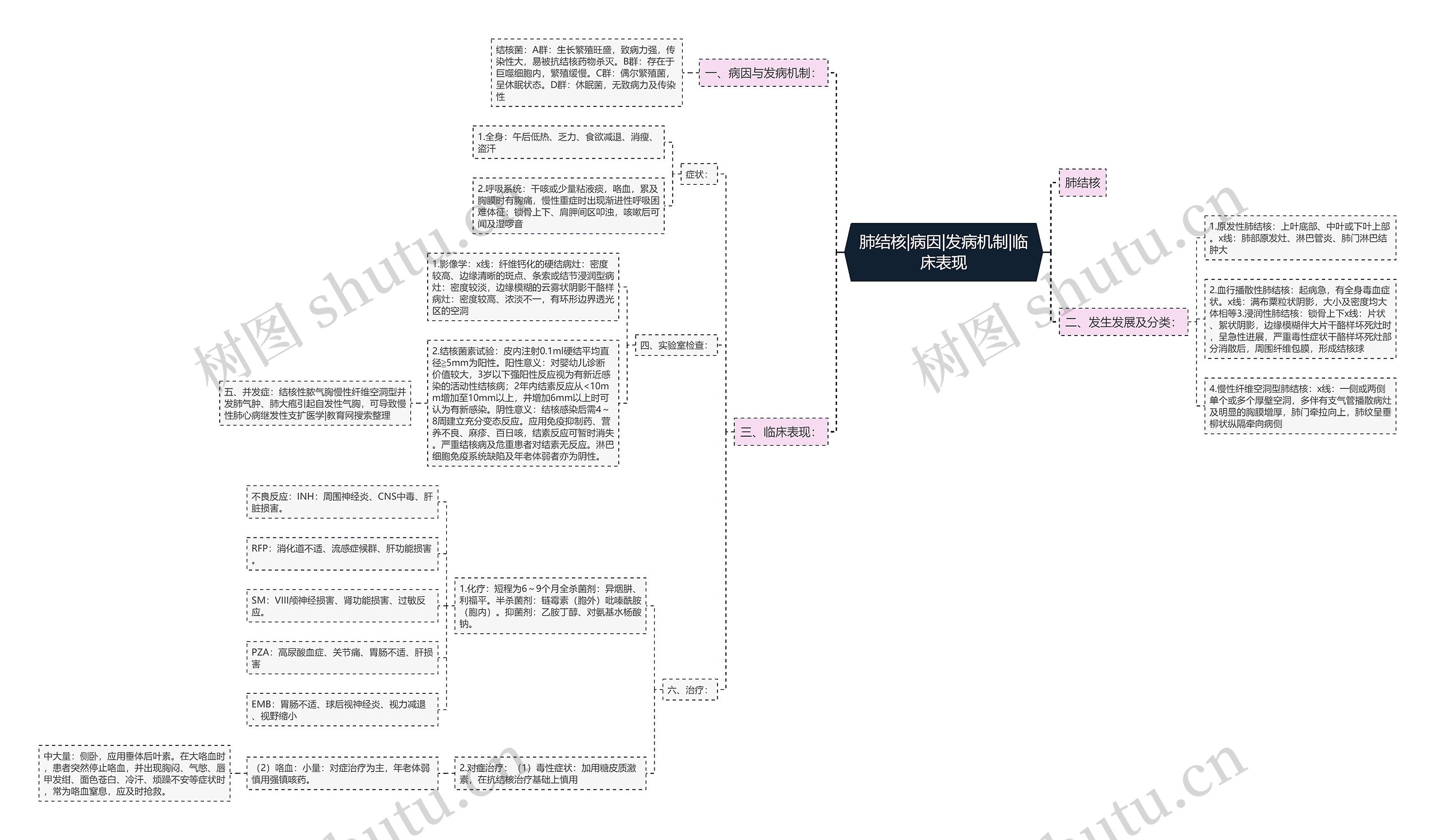 肺结核|病因|发病机制|临床表现思维导图