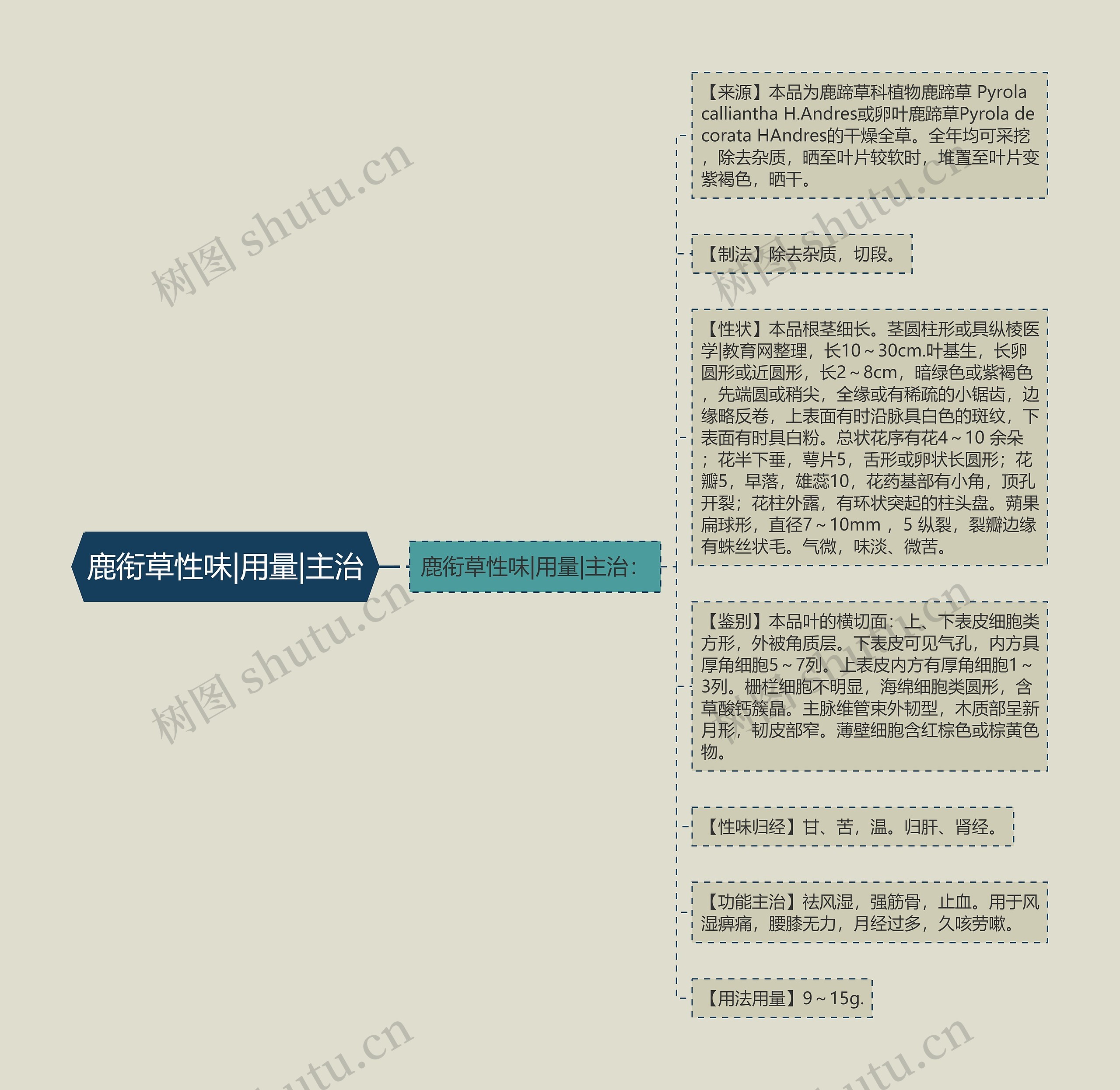 鹿衔草性味|用量|主治思维导图