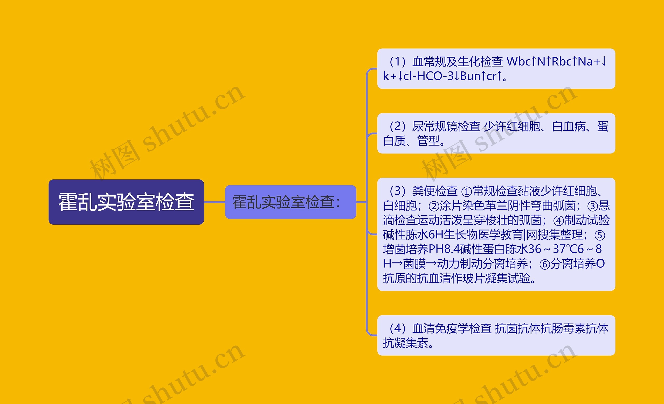 霍乱实验室检查思维导图