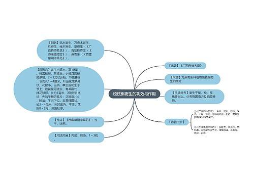 棱枝槲寄生的功效与作用