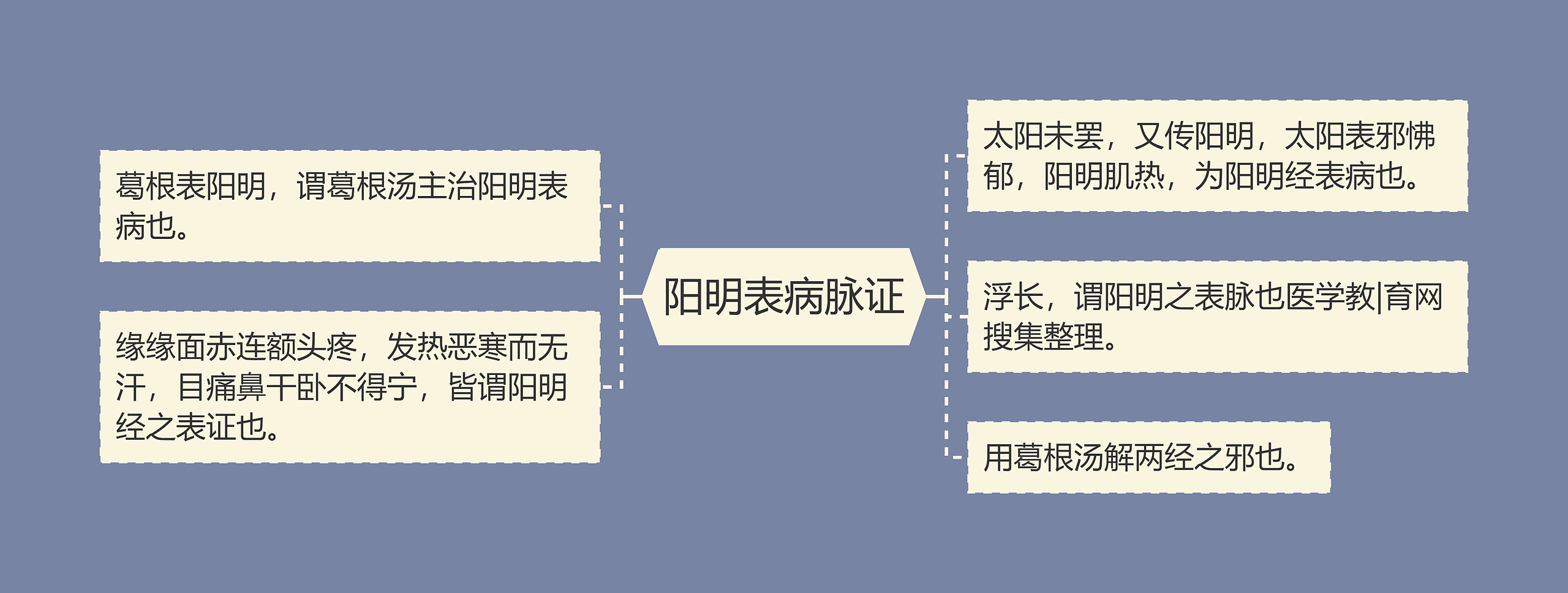 阳明表病脉证思维导图