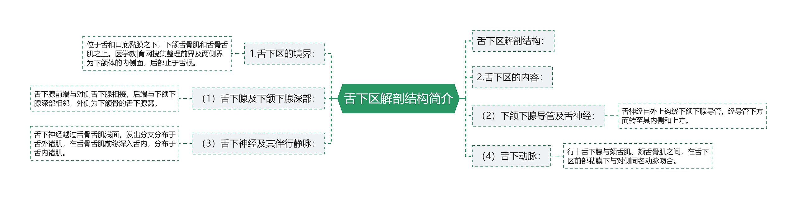 舌下区解剖结构简介