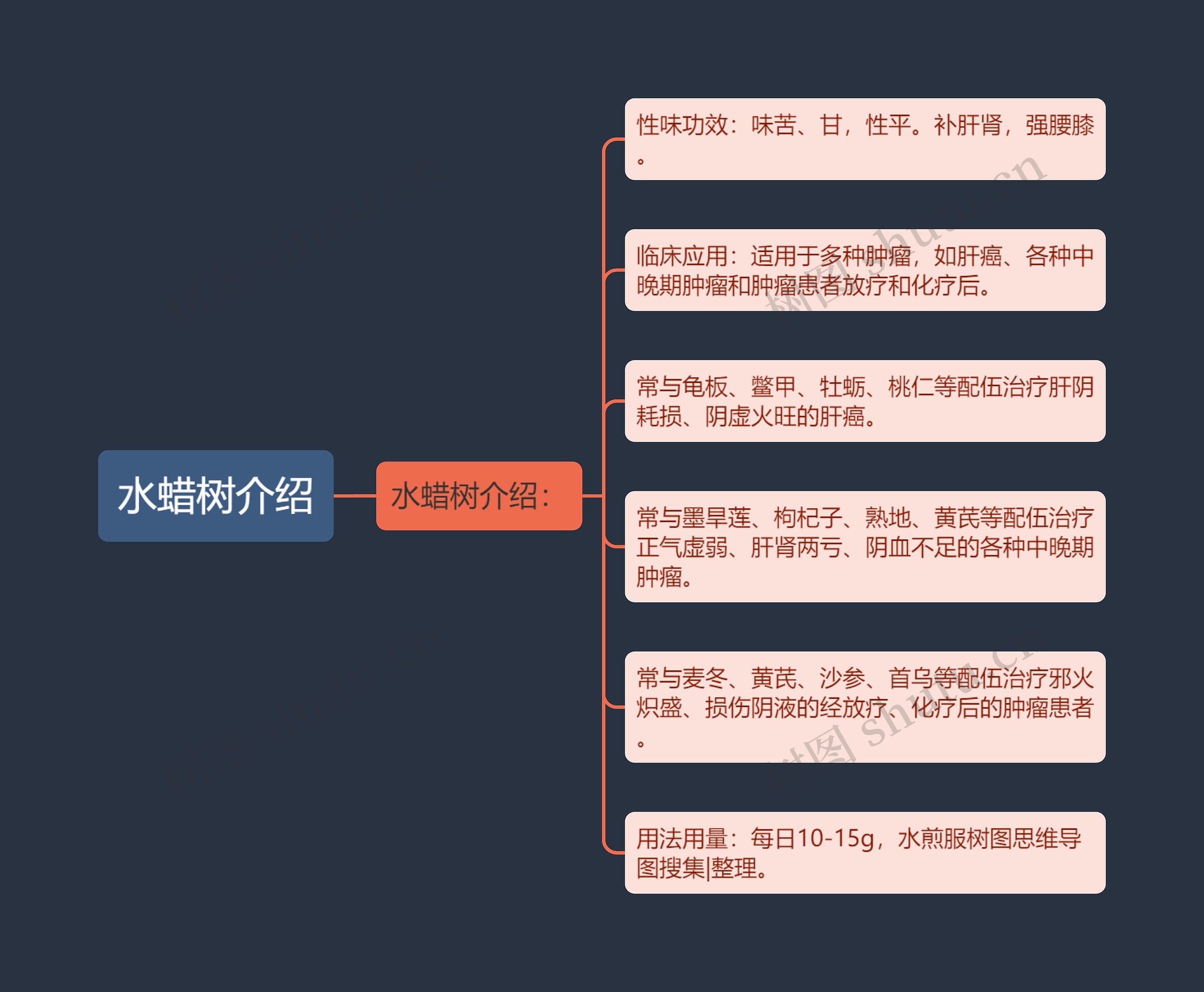 水蜡树介绍 水蜡树介绍