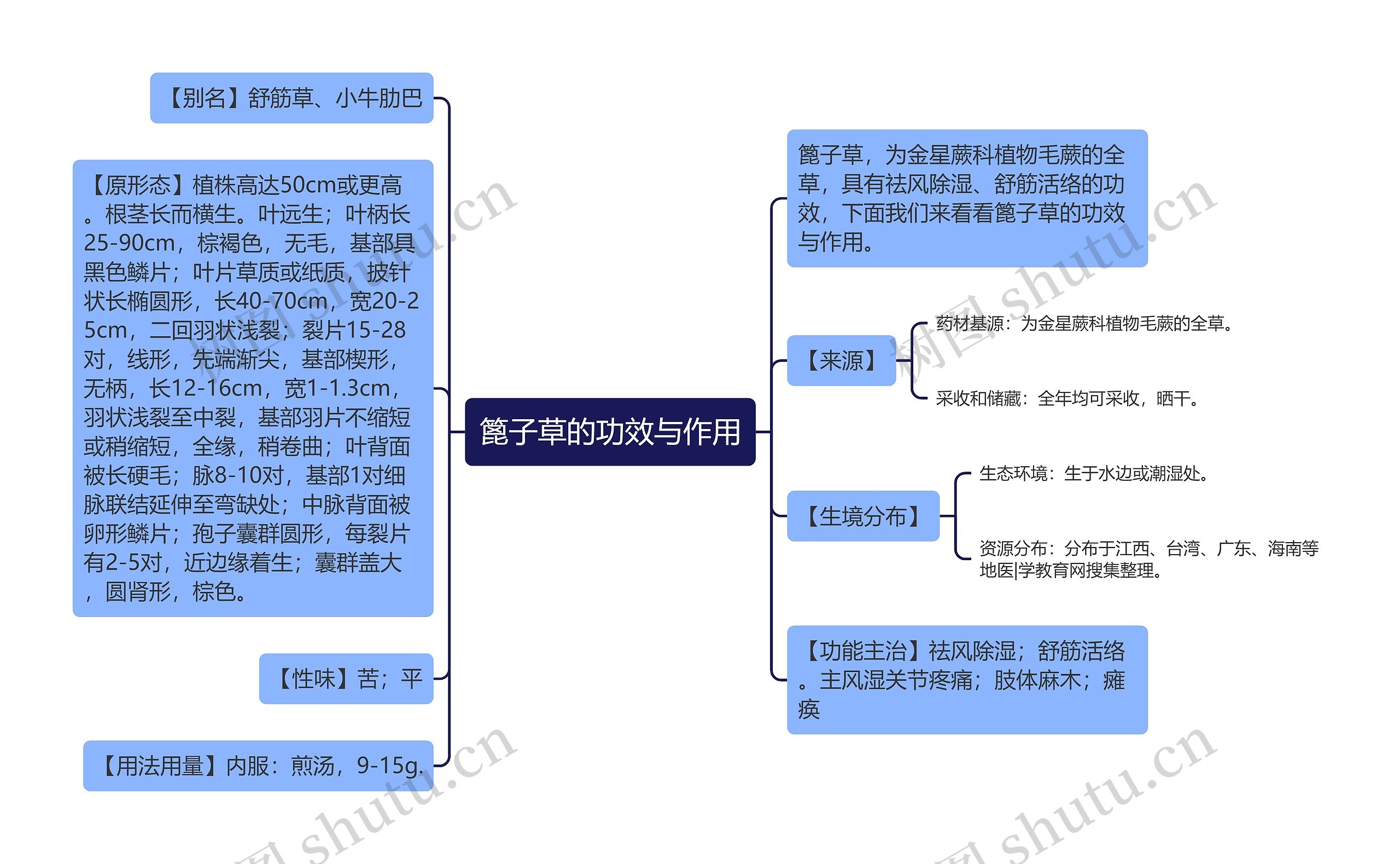 篦子草的功效与作用 篦子草的功效与作用