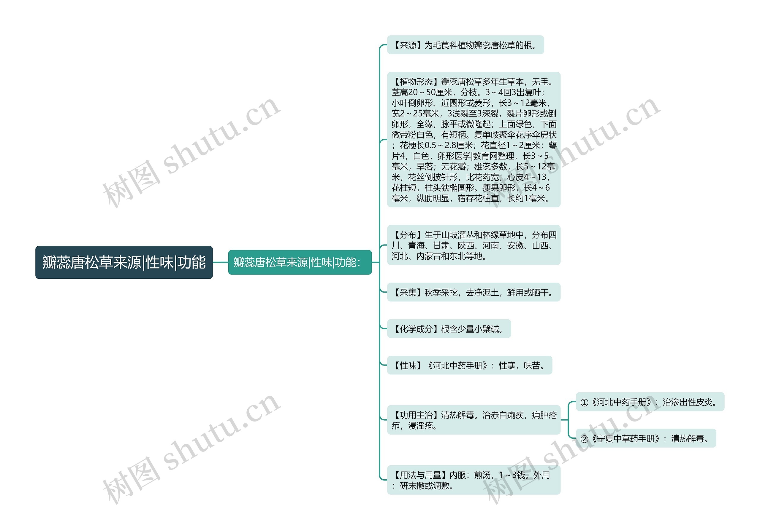 瓣蕊唐松草来源|性味|功能思维导图