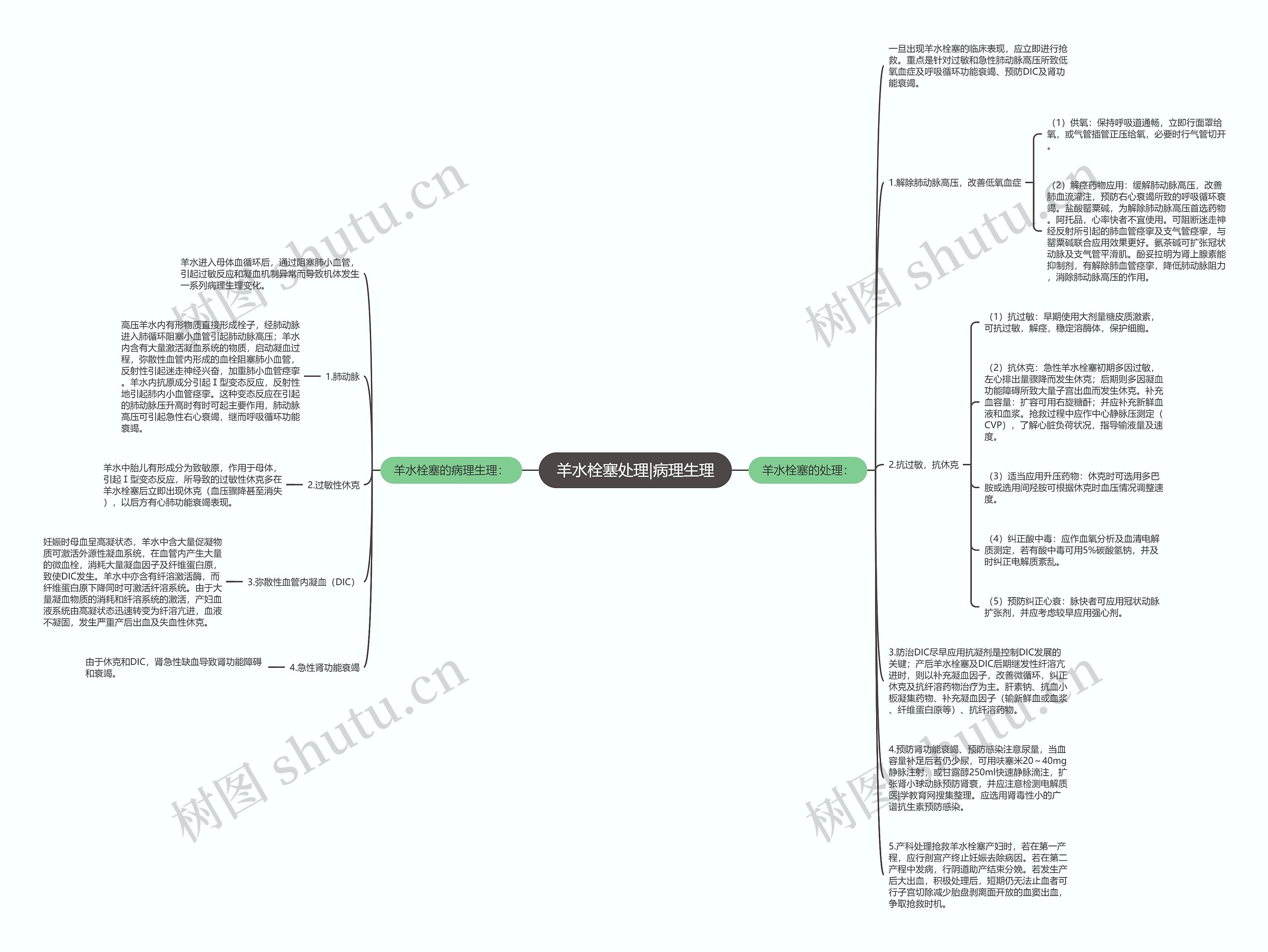 羊水栓塞处理|病理生理思维导图