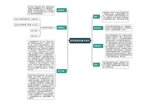 脐带脱垂的基本常识