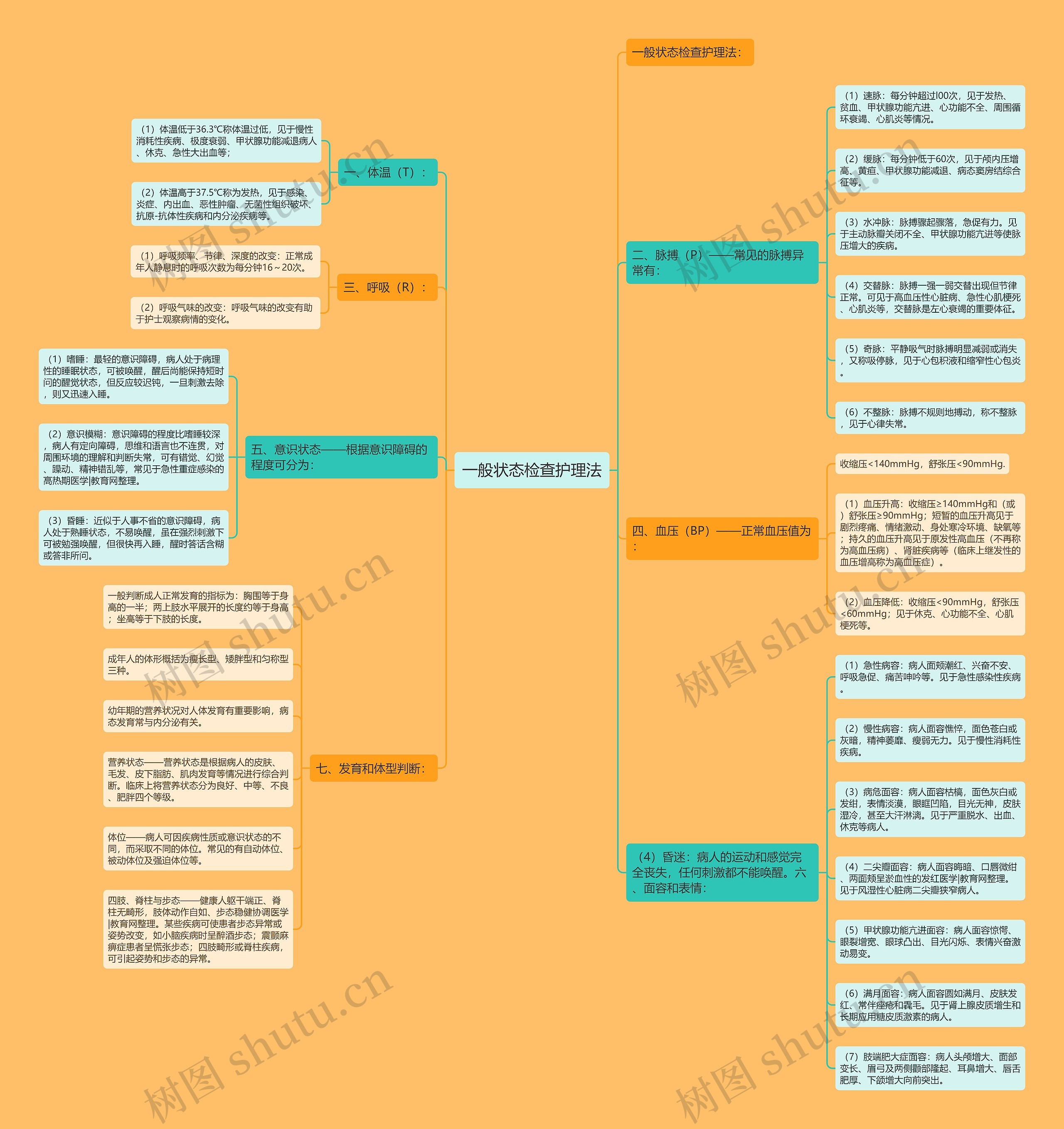 一般状态检查护理法思维导图
