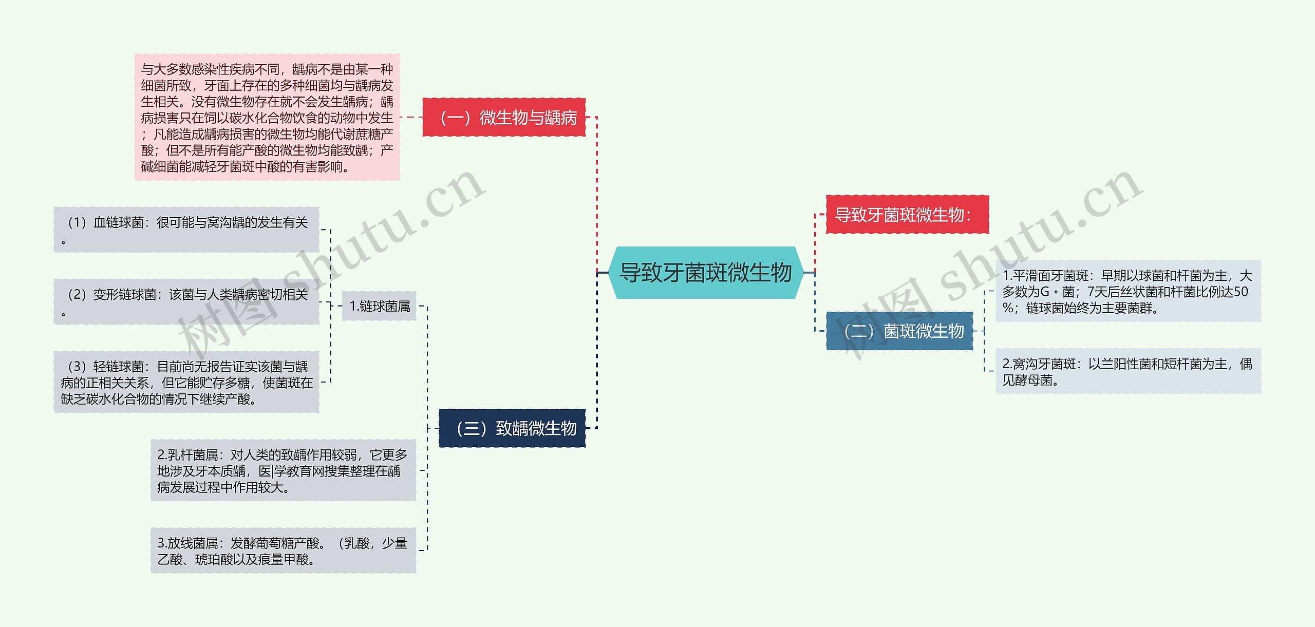 导致牙菌斑微生物思维导图