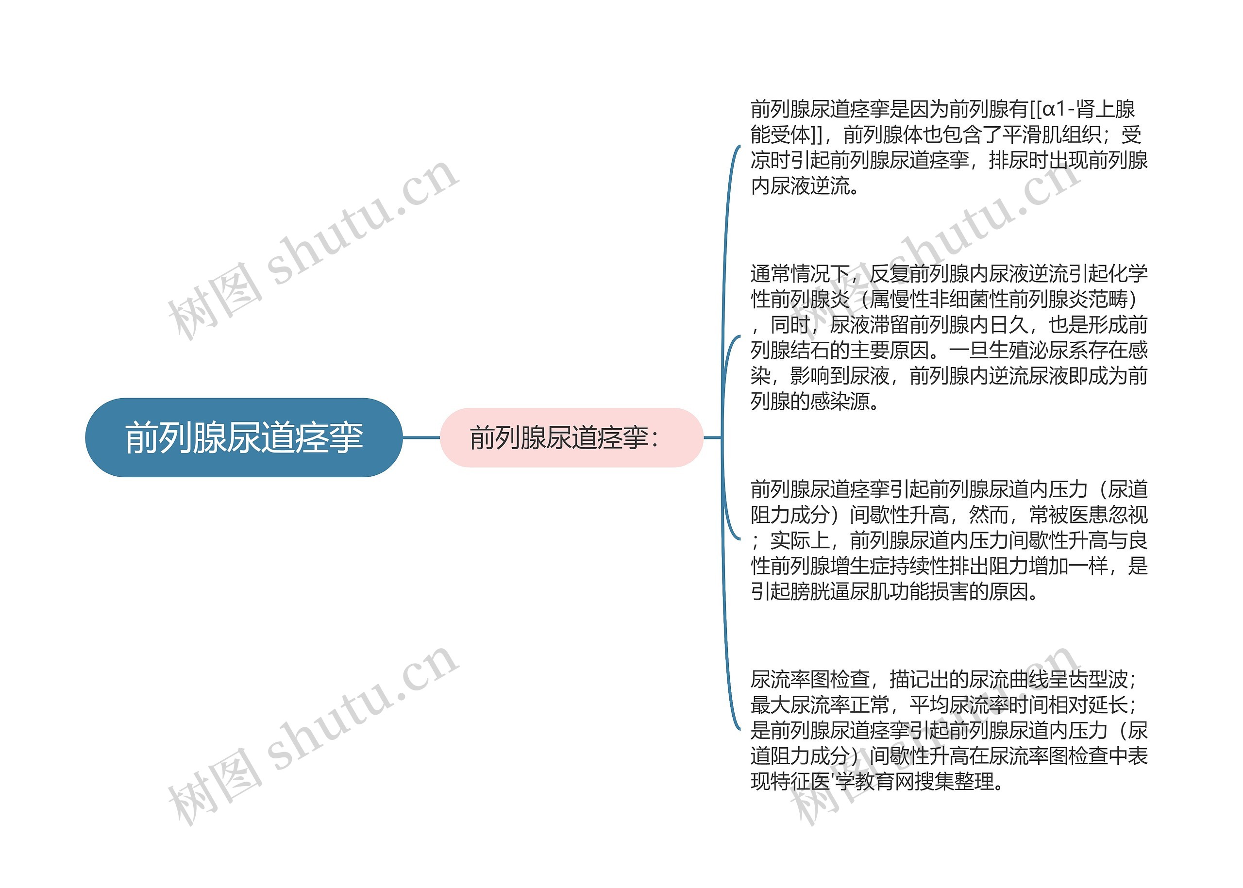 前列腺尿道痉挛思维导图