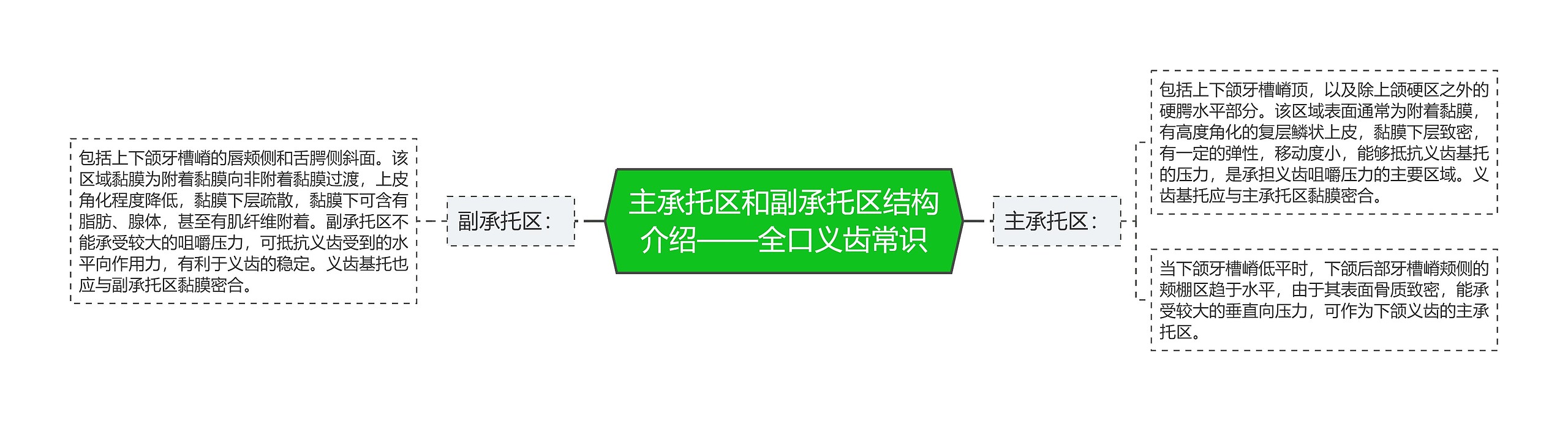 主承托区和副承托区结构介绍——全口义齿常识