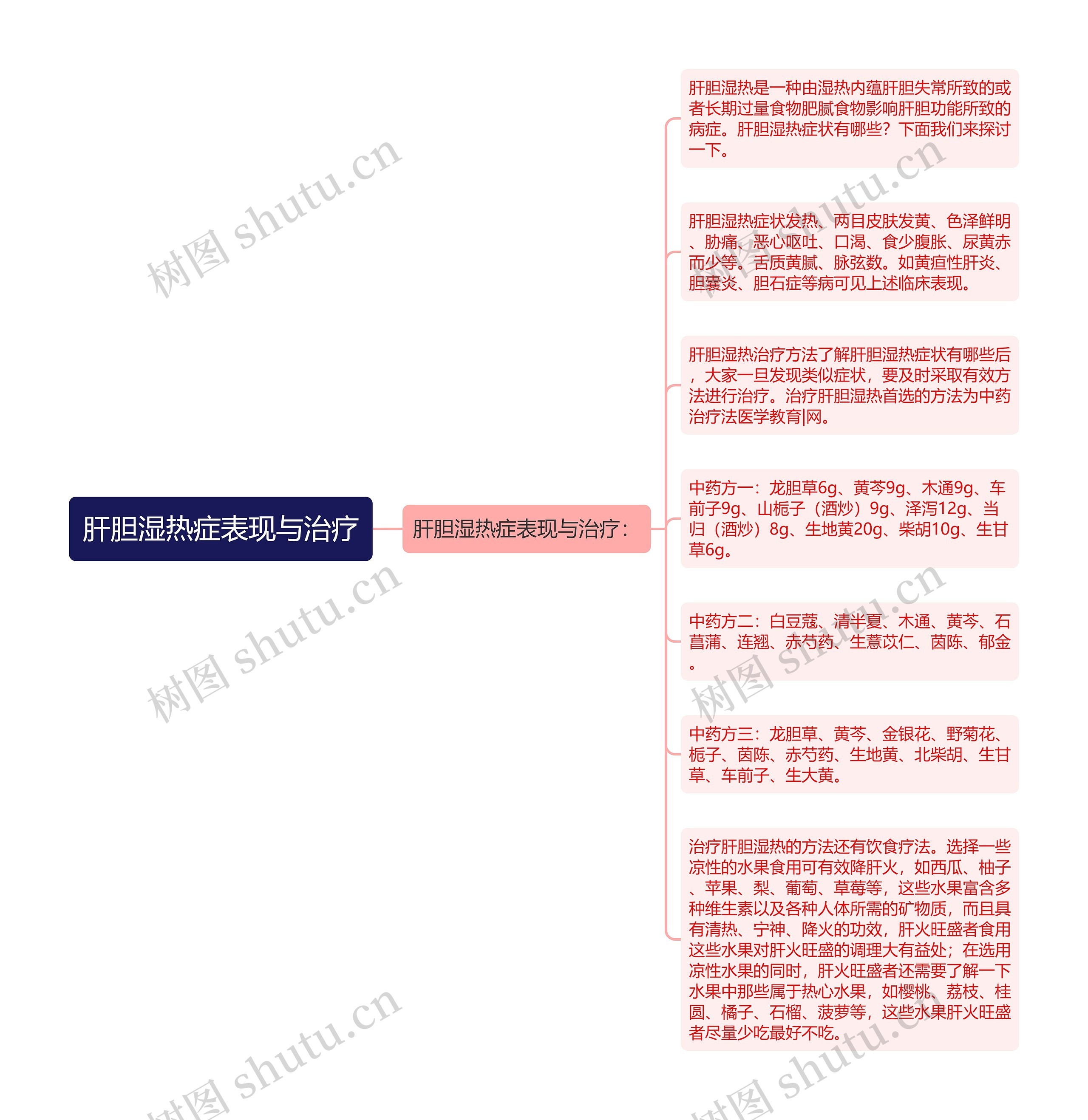 肝胆湿热症表现与治疗思维导图