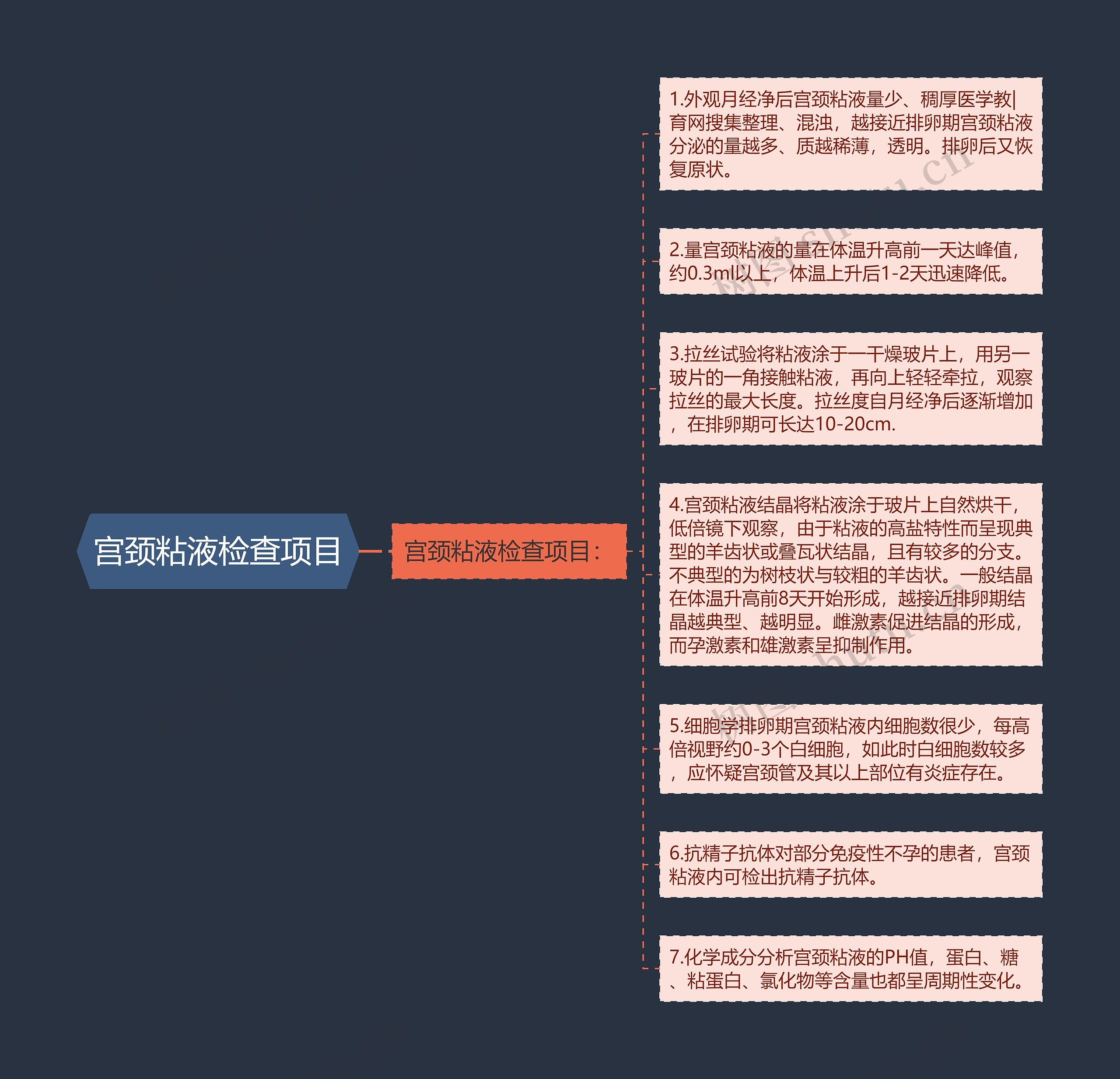 宫颈粘液检查项目 宫颈粘液检查项目