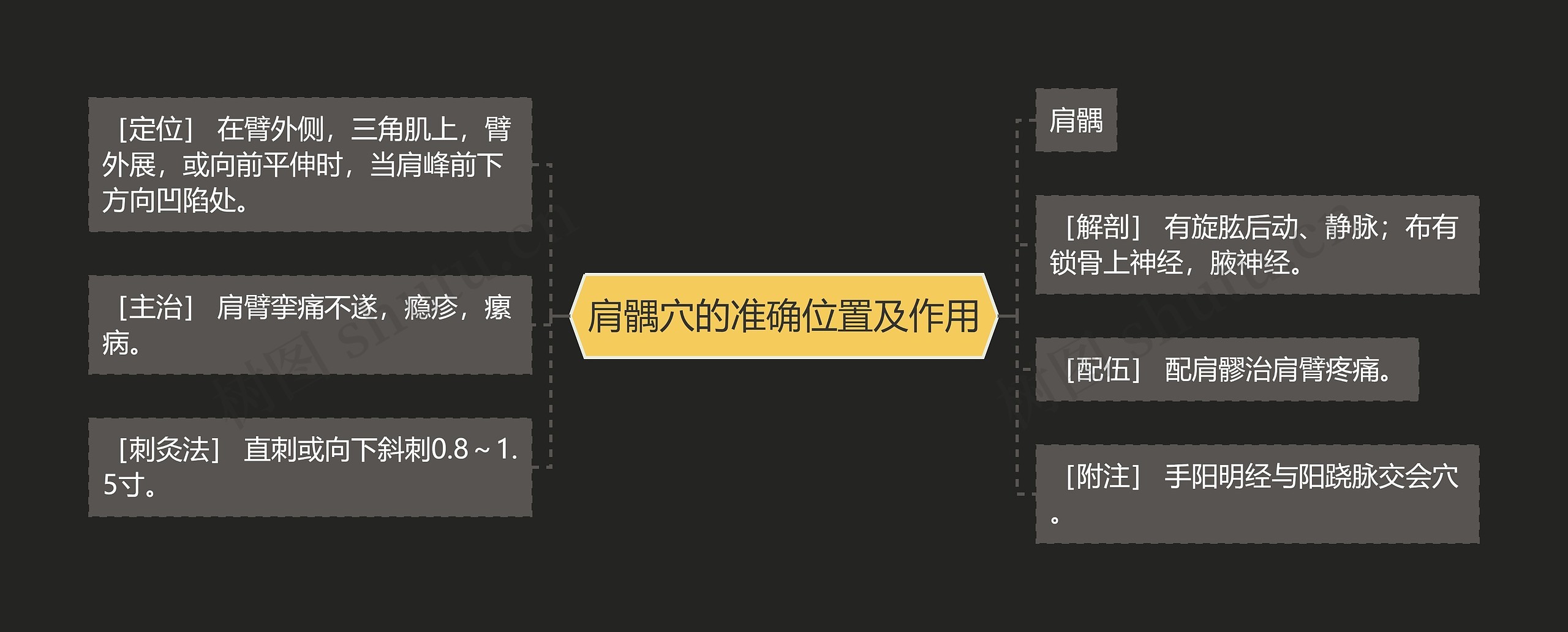 肩髃穴的准确位置及作用思维导图