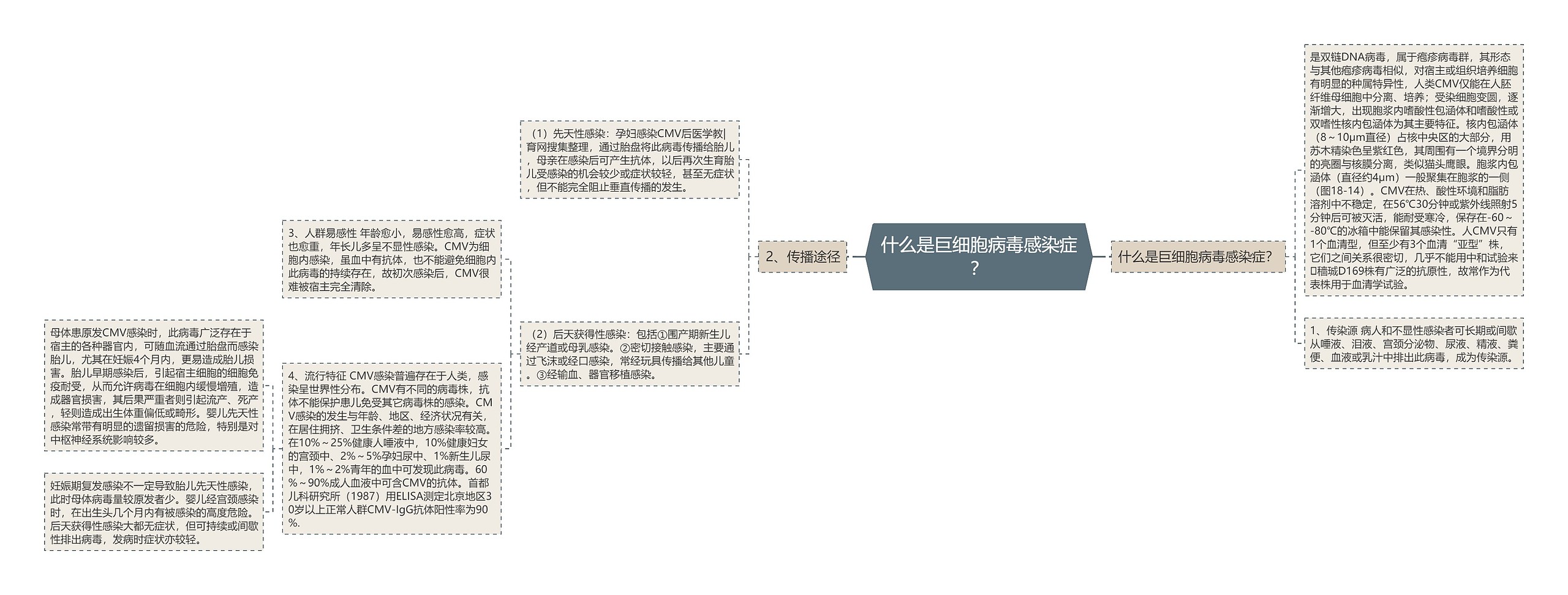 什么是巨细胞病毒感染症？思维导图