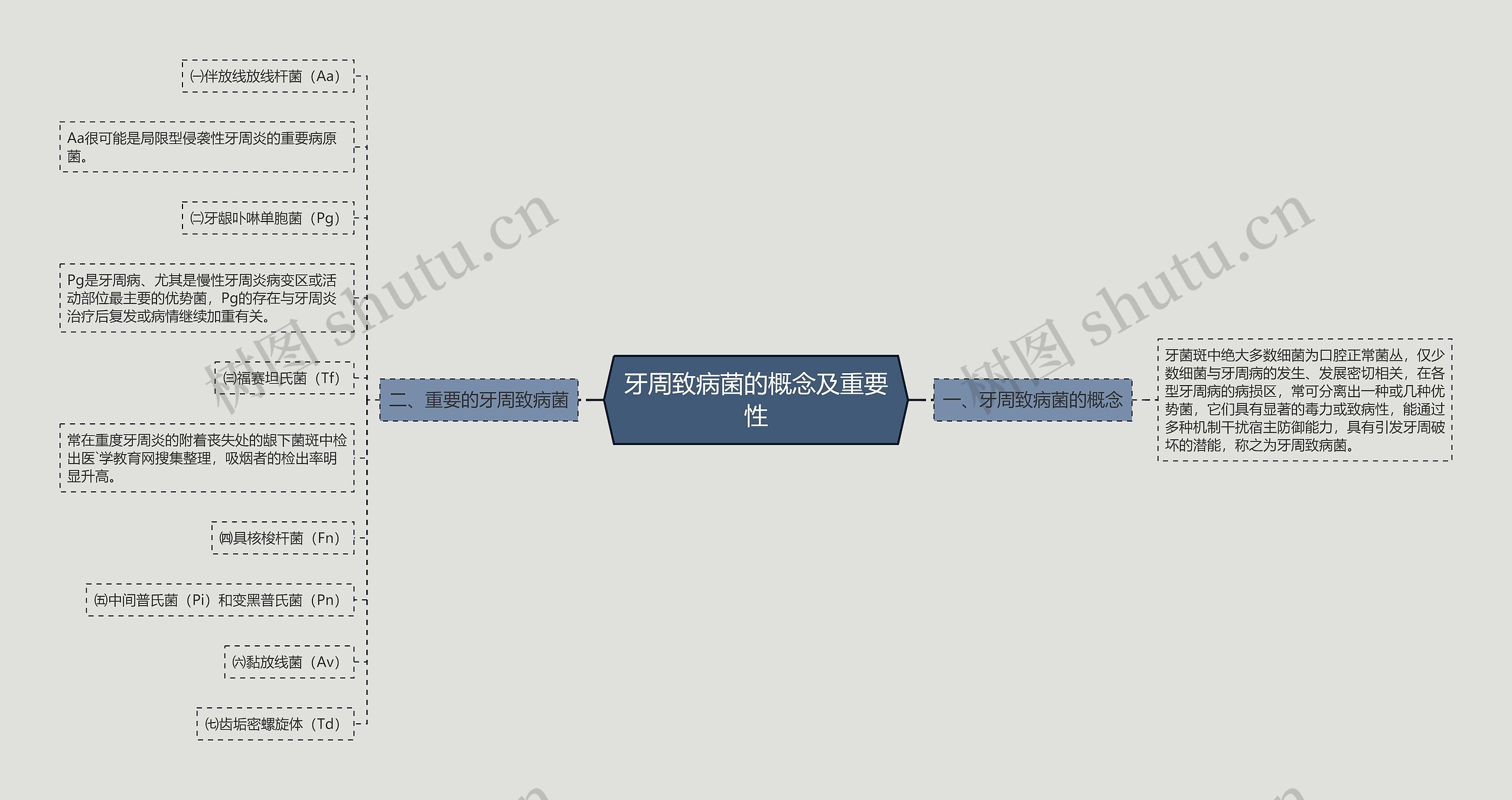 牙周致病菌的概念及重要性思维导图