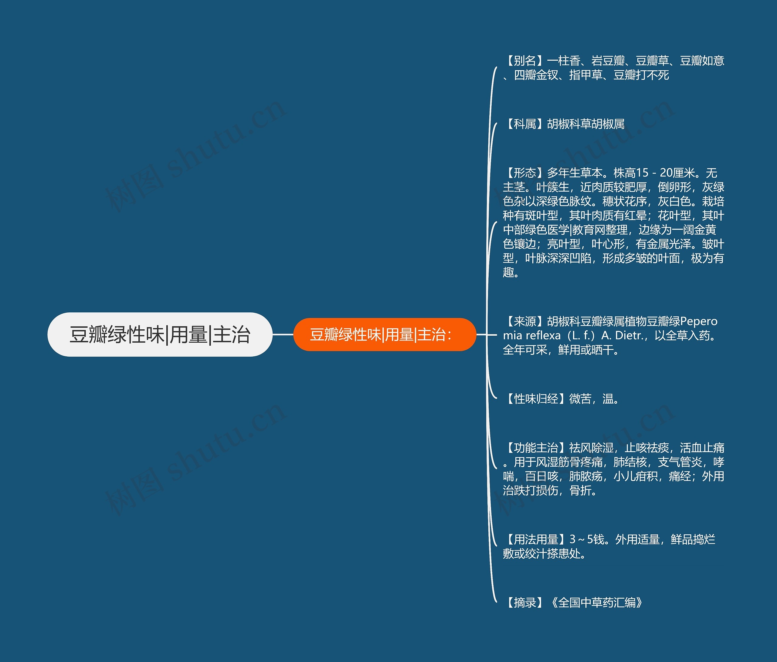 豆瓣绿性味|用量|主治思维导图