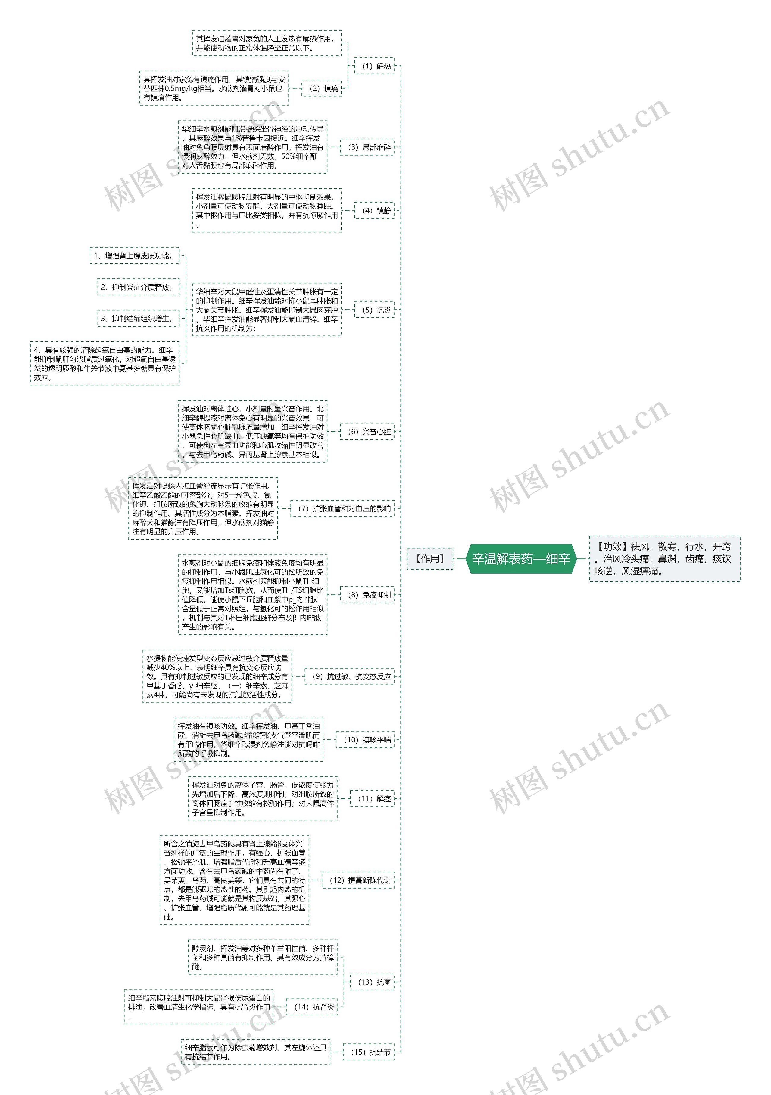 辛温解表药—细辛思维导图