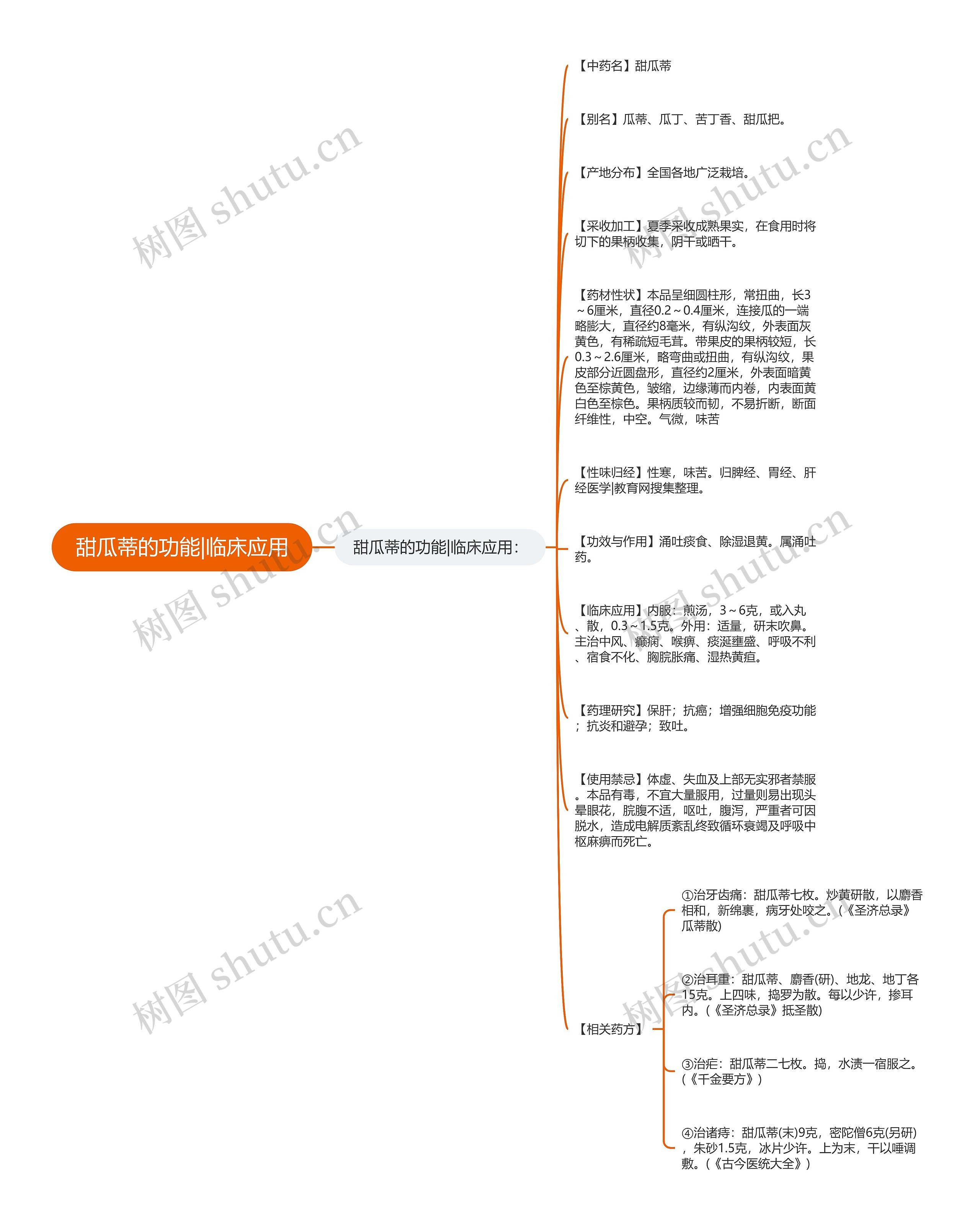 甜瓜蒂的功能|临床应用思维导图