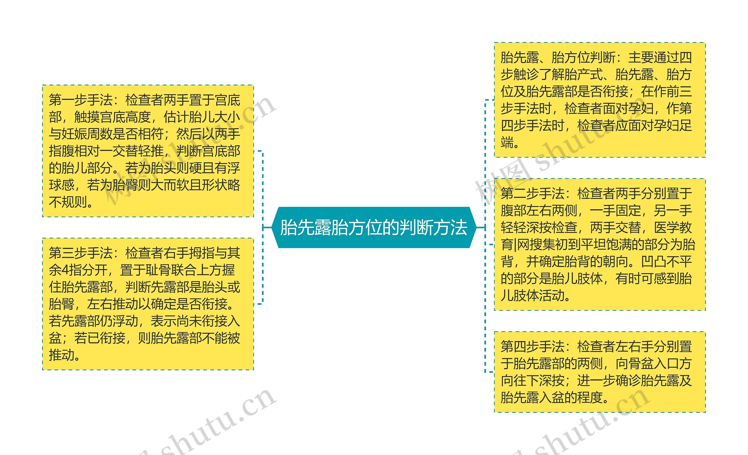 胎先露胎方位的判断方法