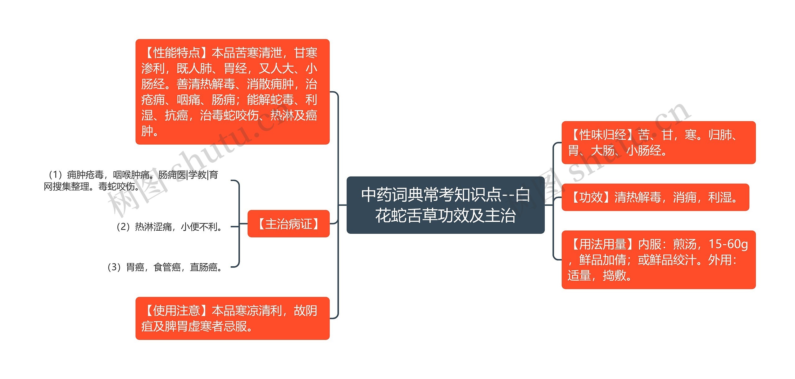 中药词典常考知识点--白花蛇舌草功效及主治思维导图