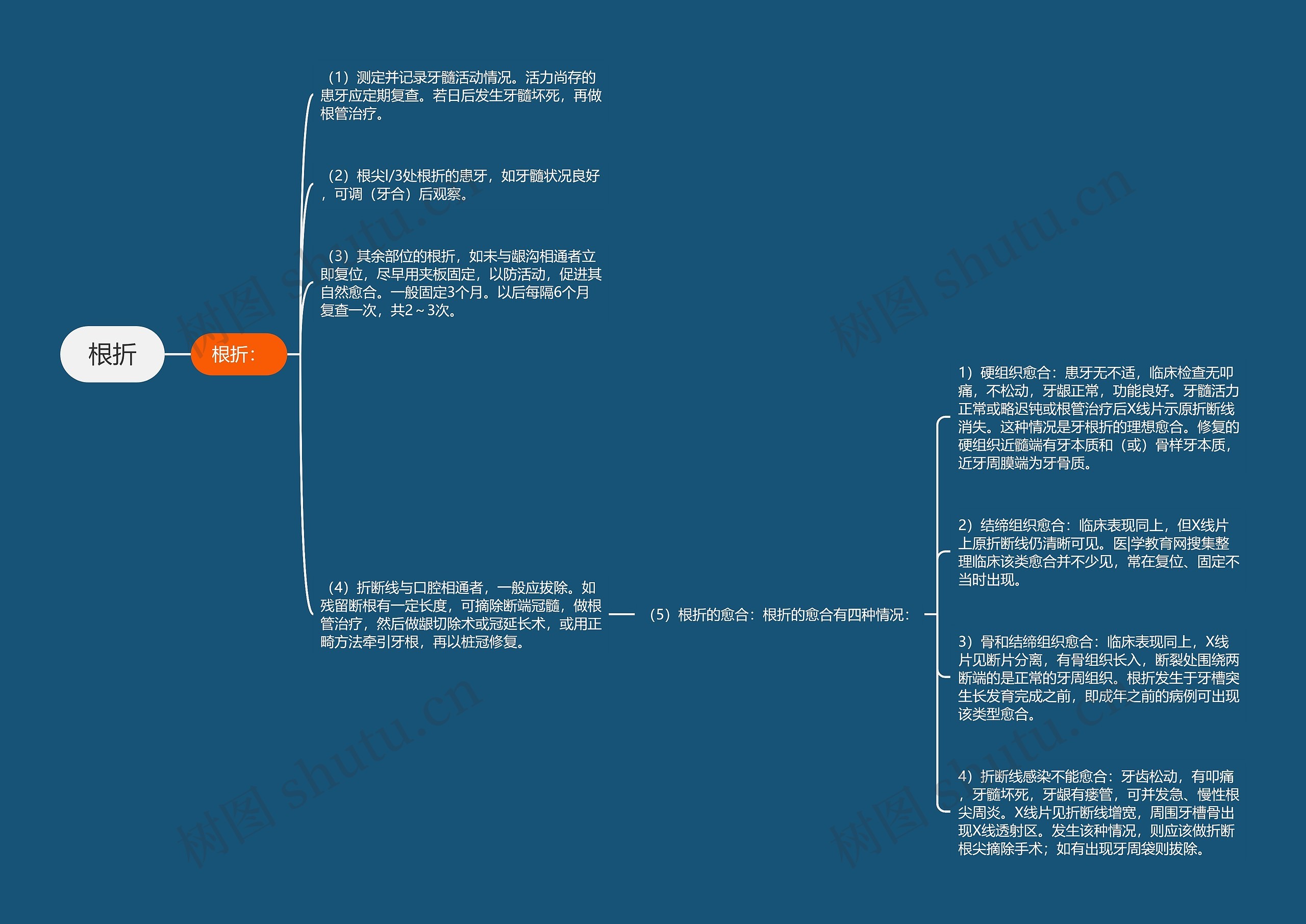 根折思维导图